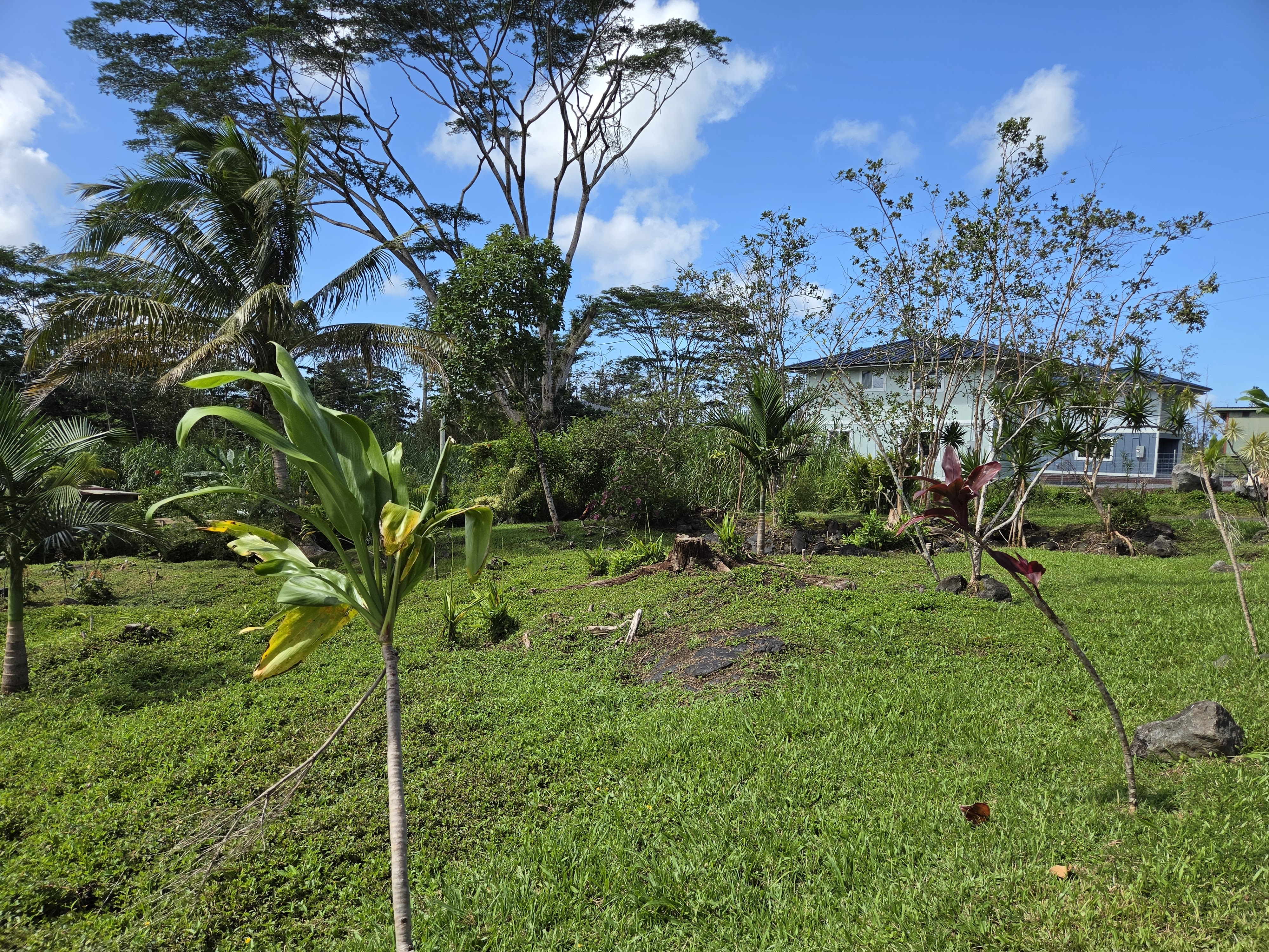 King Kamehameha Blvd Property Photo 17