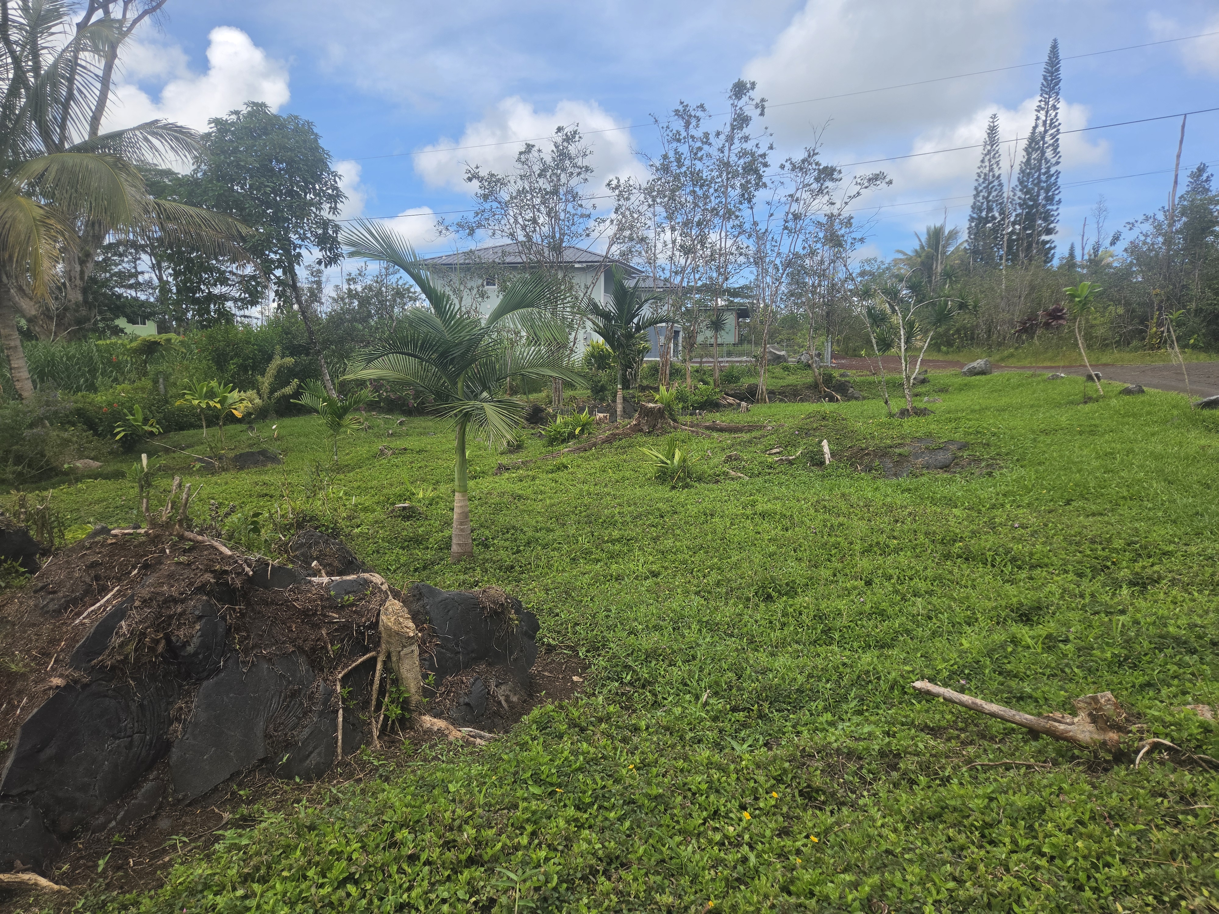King Kamehameha Blvd Property Photo 20