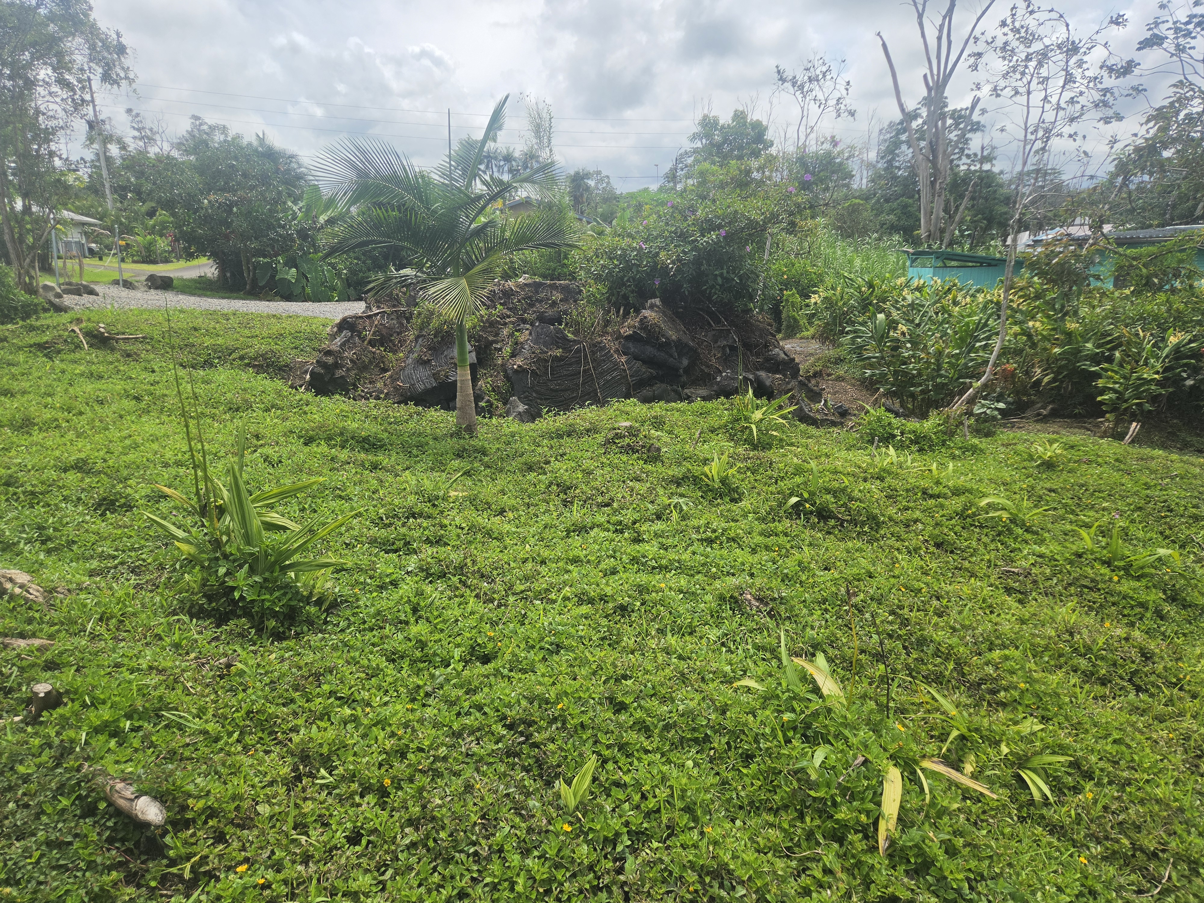 King Kamehameha Blvd Property Photo 21
