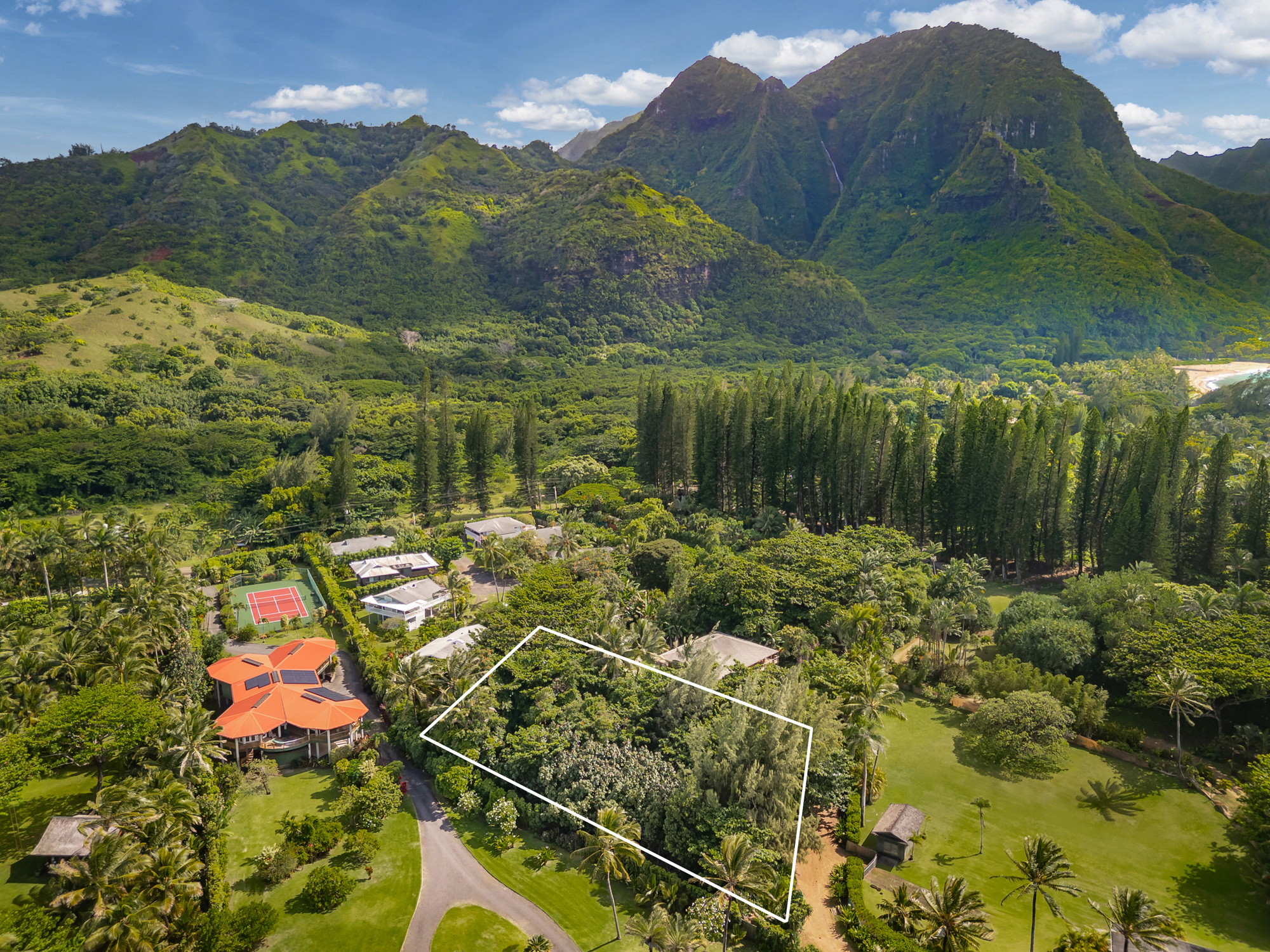 Kuhio Hwy Property Photo 3