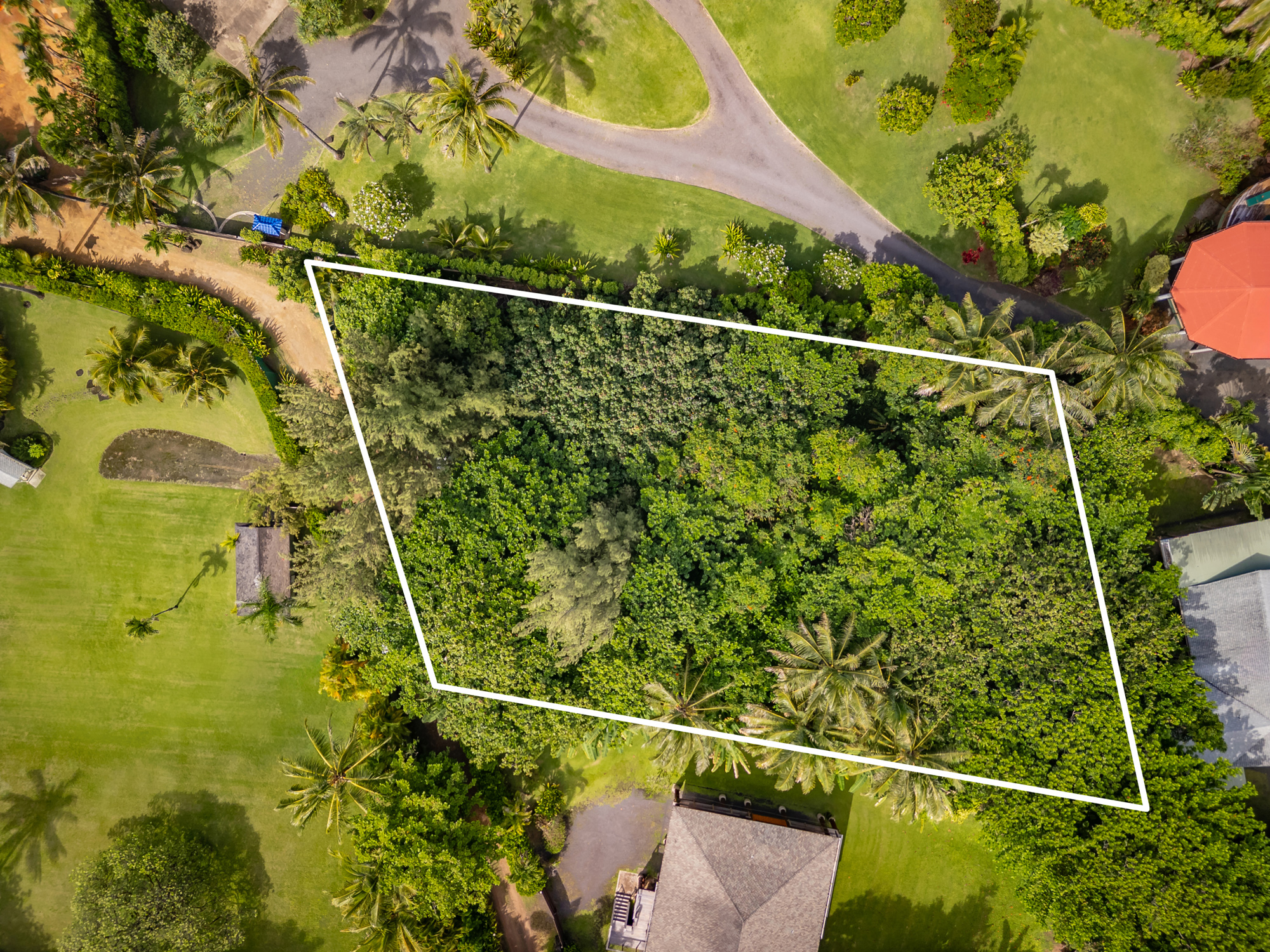 Kuhio Hwy Property Photo 4
