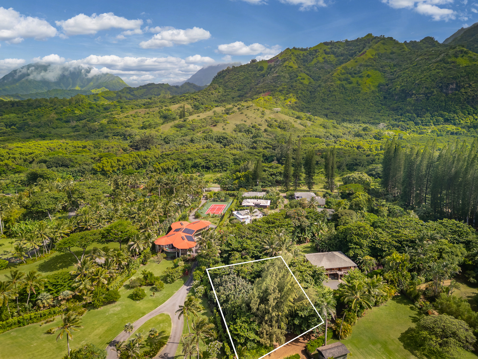 Kuhio Hwy Property Photo 5