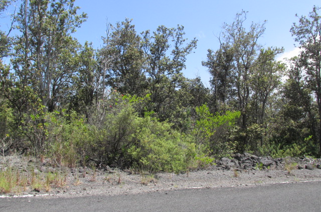 PALM PKWY Property Photo 1