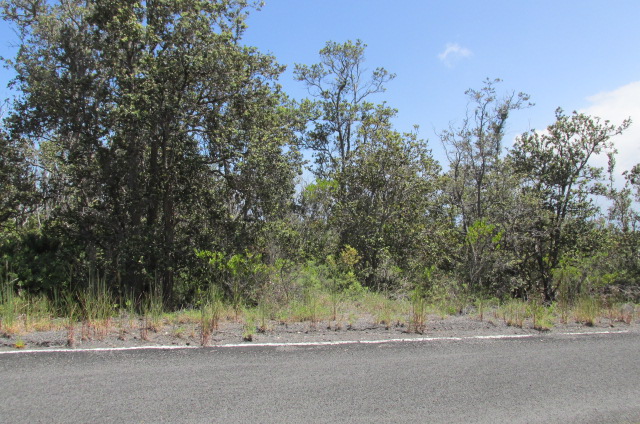 Palm Pkwy Property Photo 2