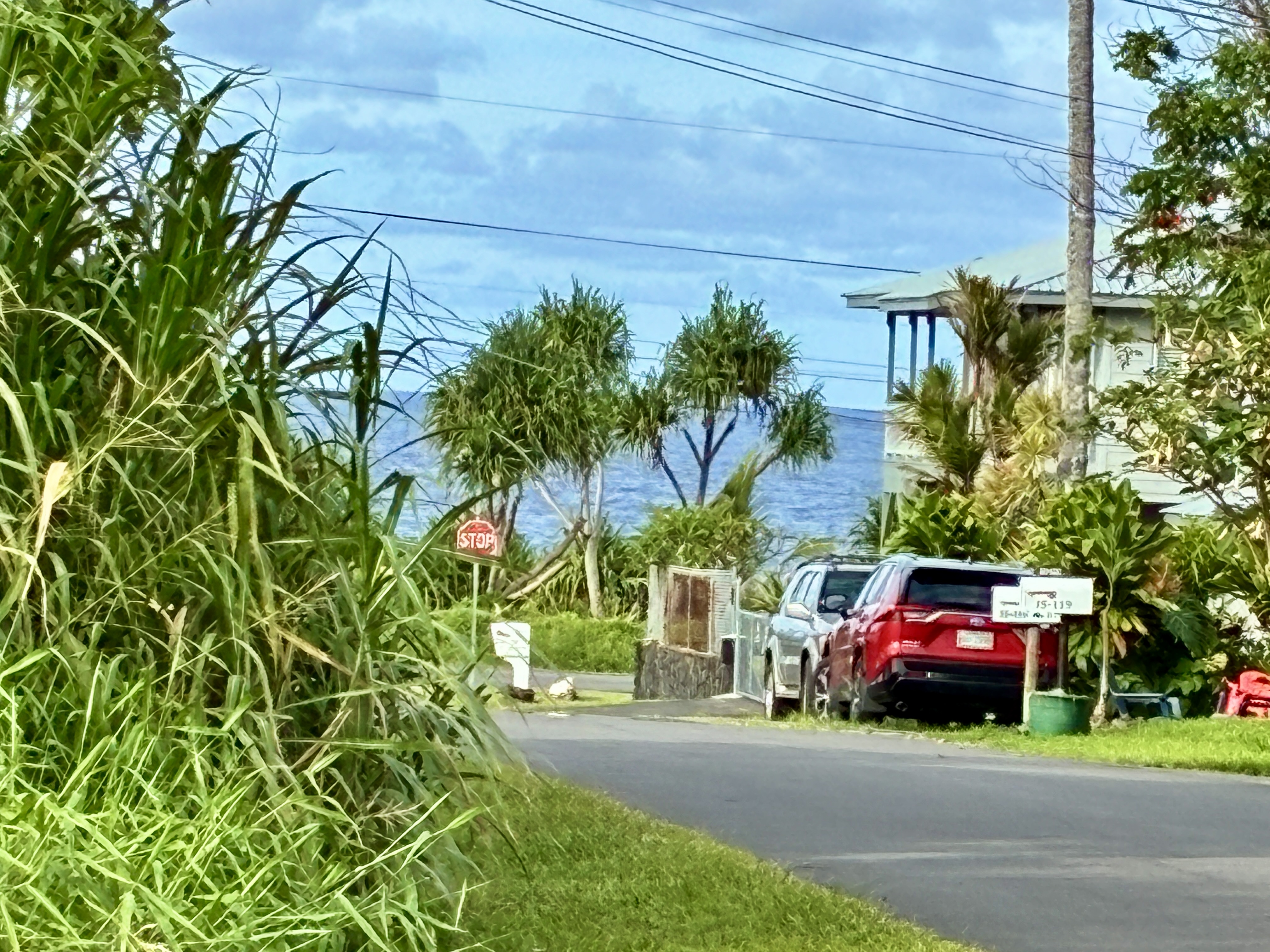 Puna Pkwy Property Photo 1