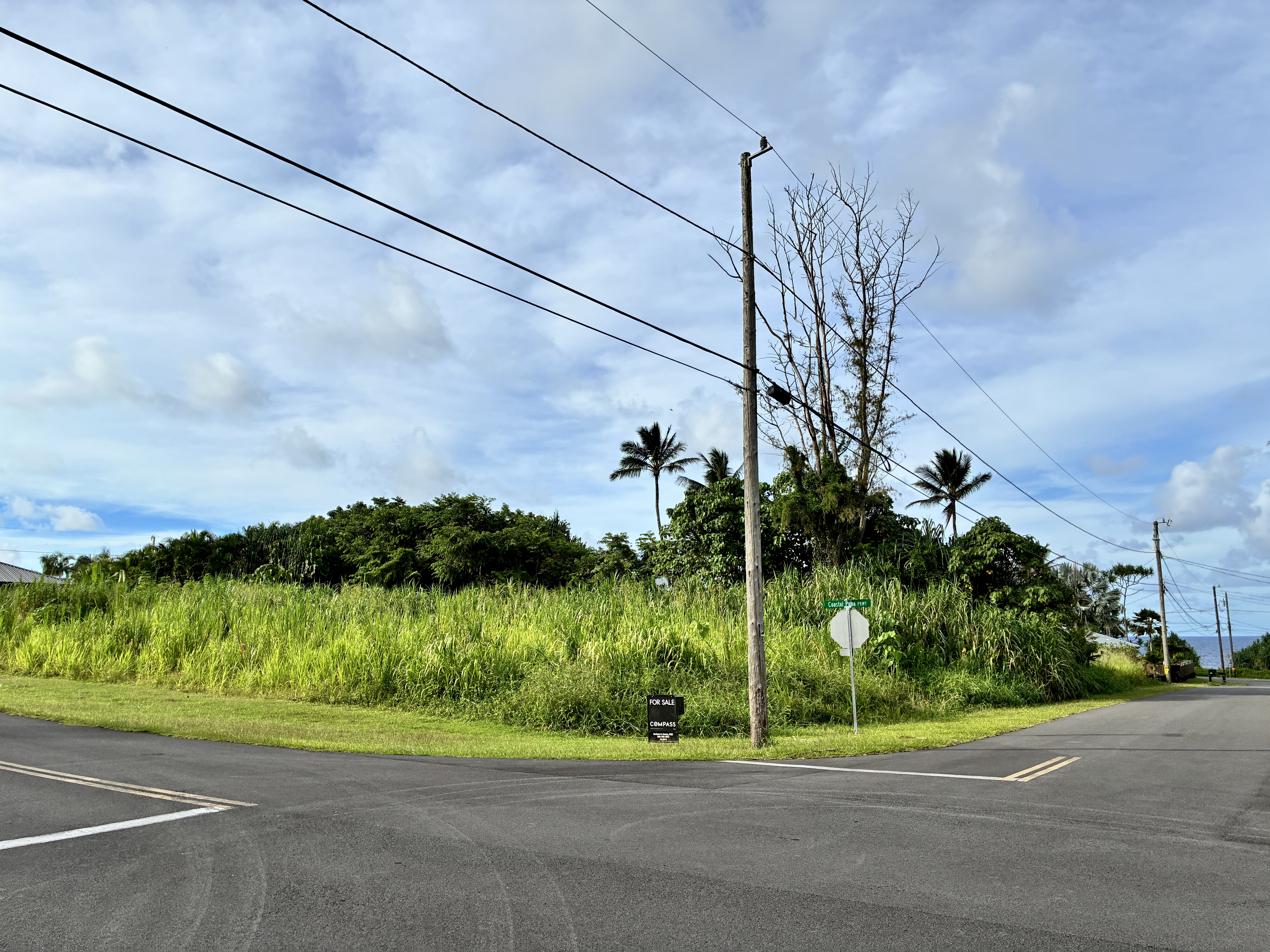 Puna Pkwy Property Photo 2