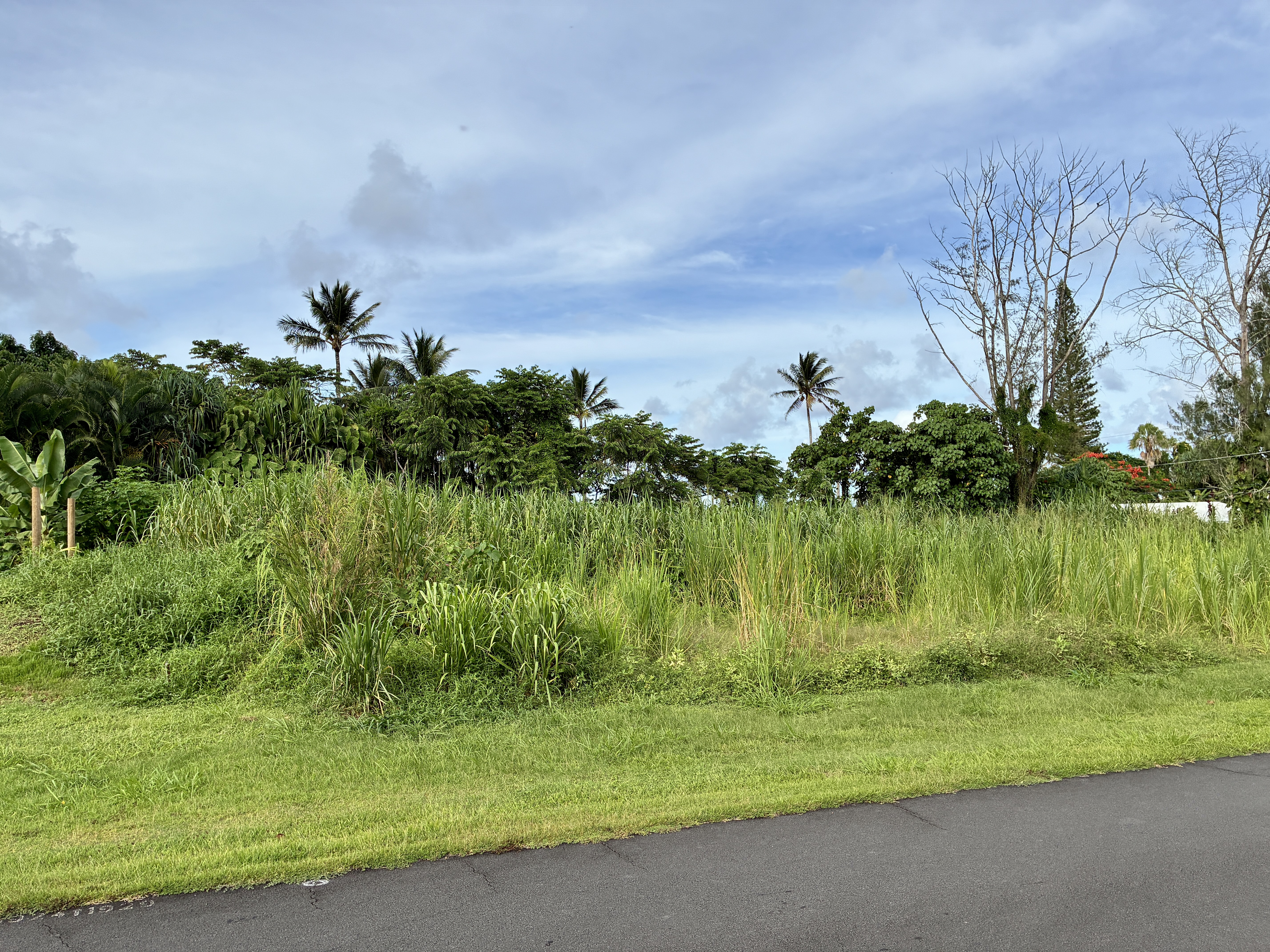 Puna Pkwy Property Photo 3