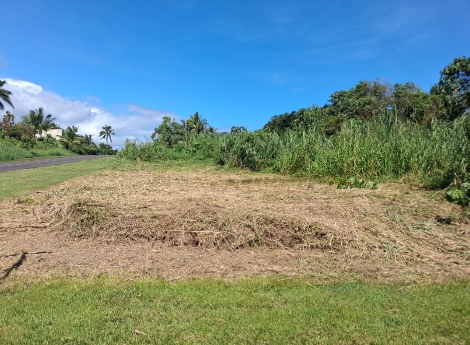 Puna Pkwy Property Photo 3