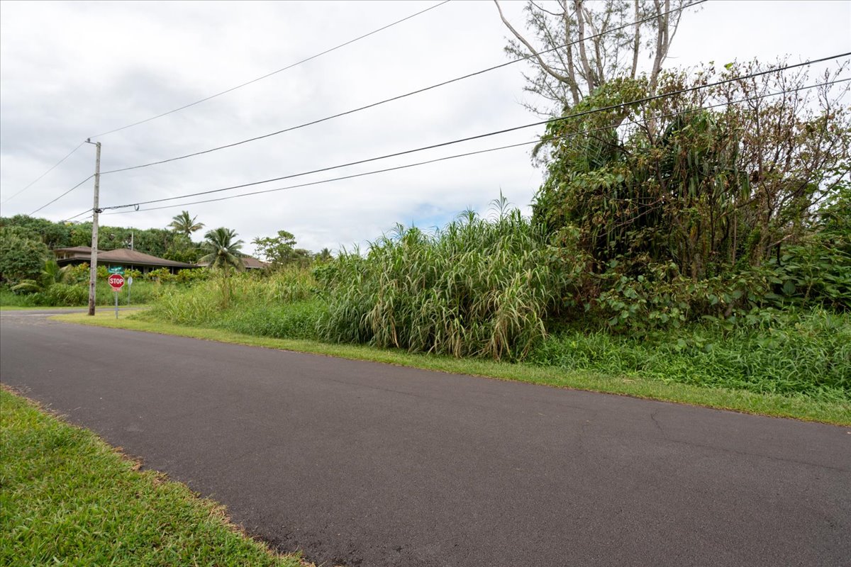 Puna Pkwy Property Photo 9