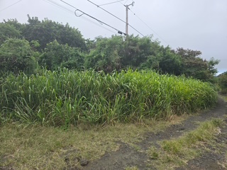 Makai St Lot 25 Property Photo 3