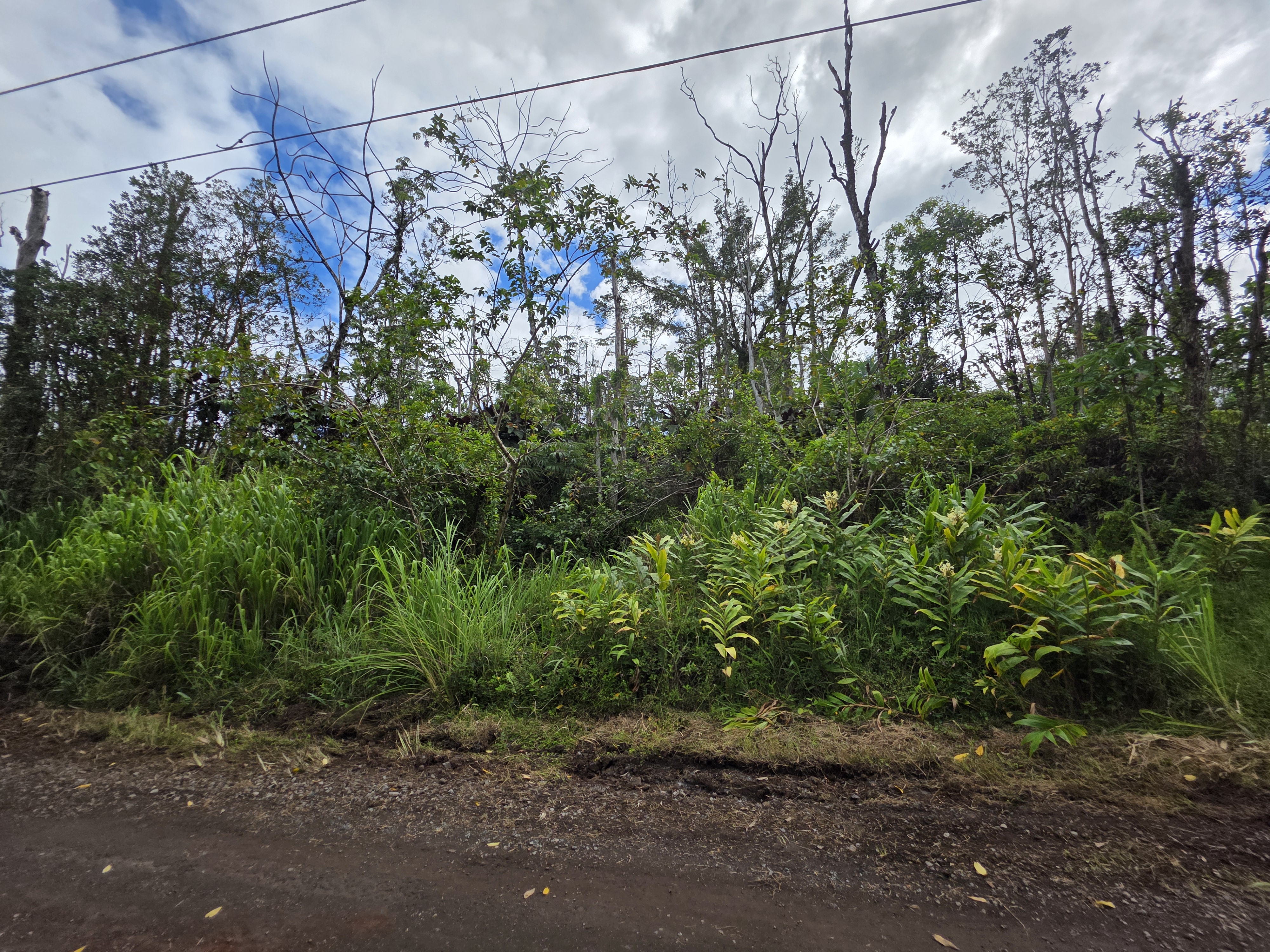 39th Ave Property Photo 5