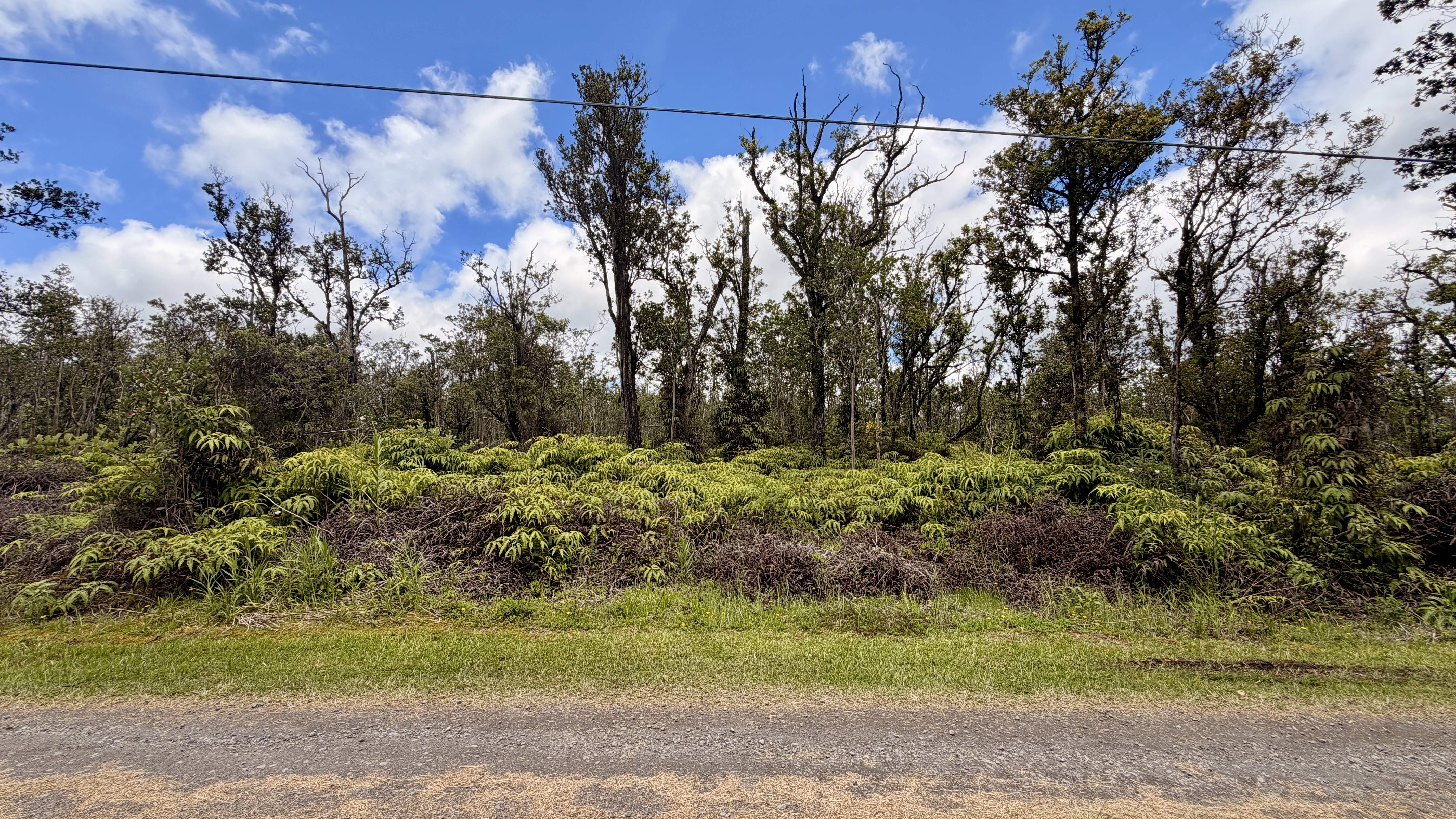 Kokokahi Rd Property Photo 1