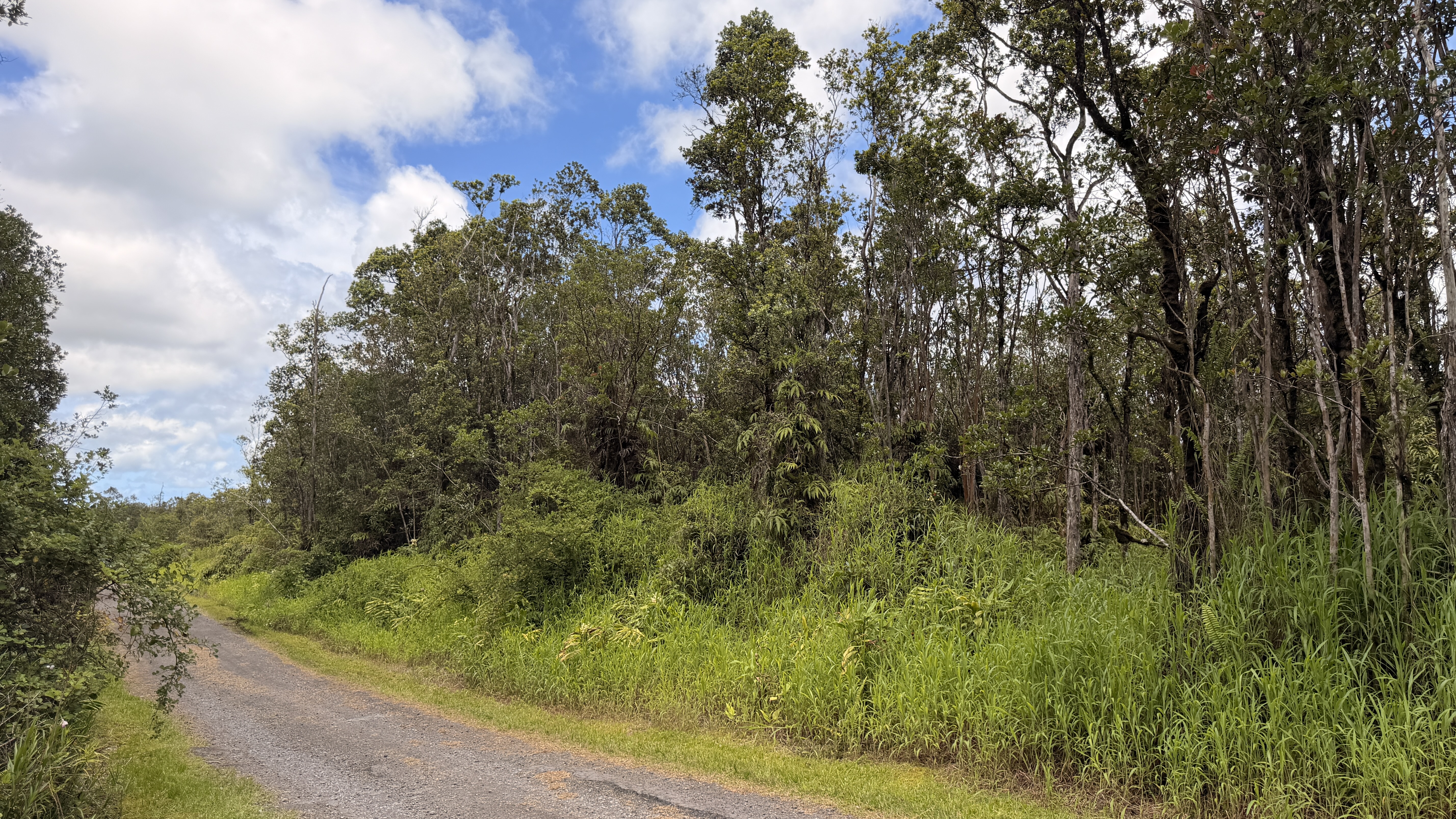 Makoa Rd Property Photo 1