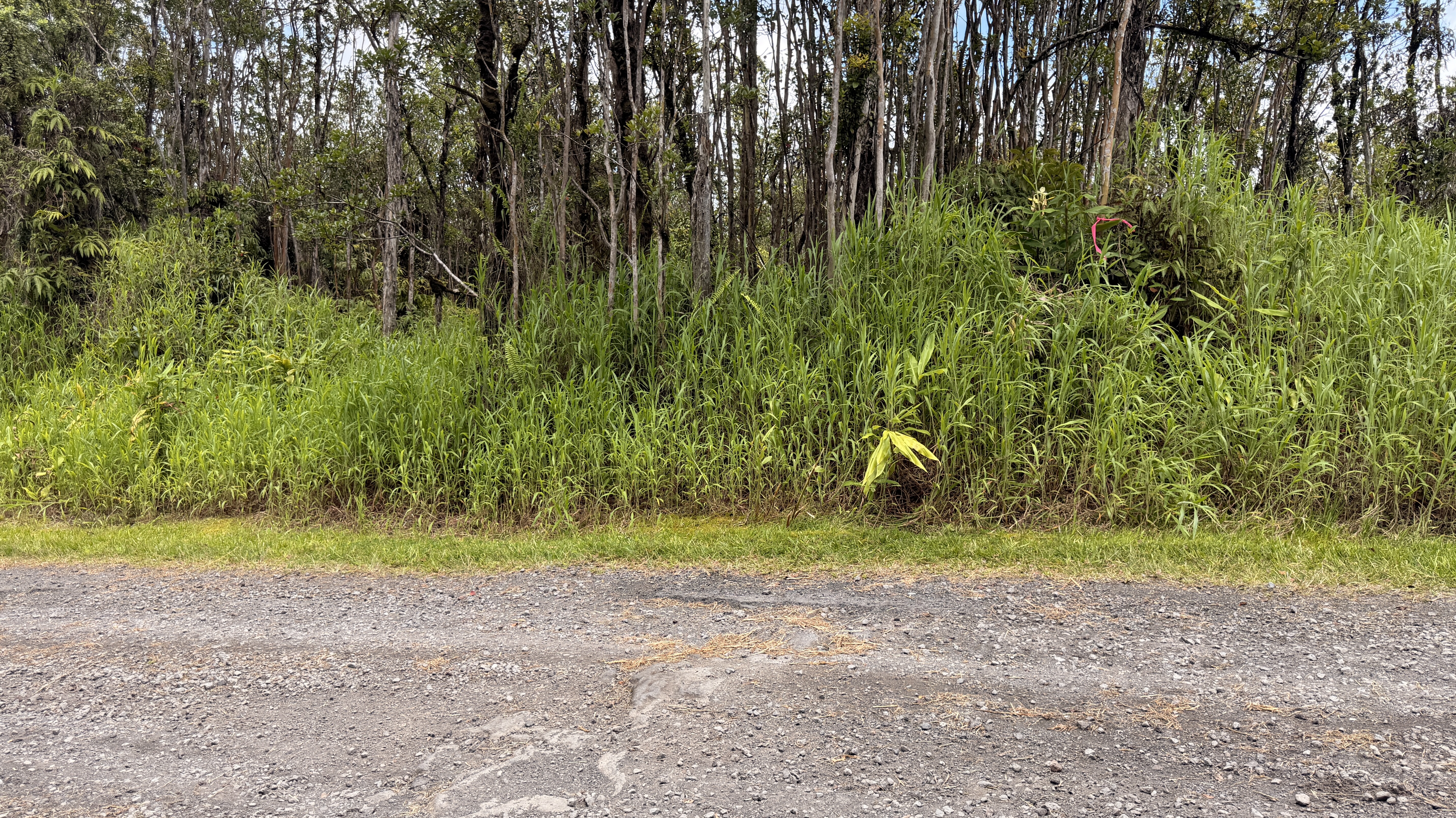 Makoa Rd Property Photo 3