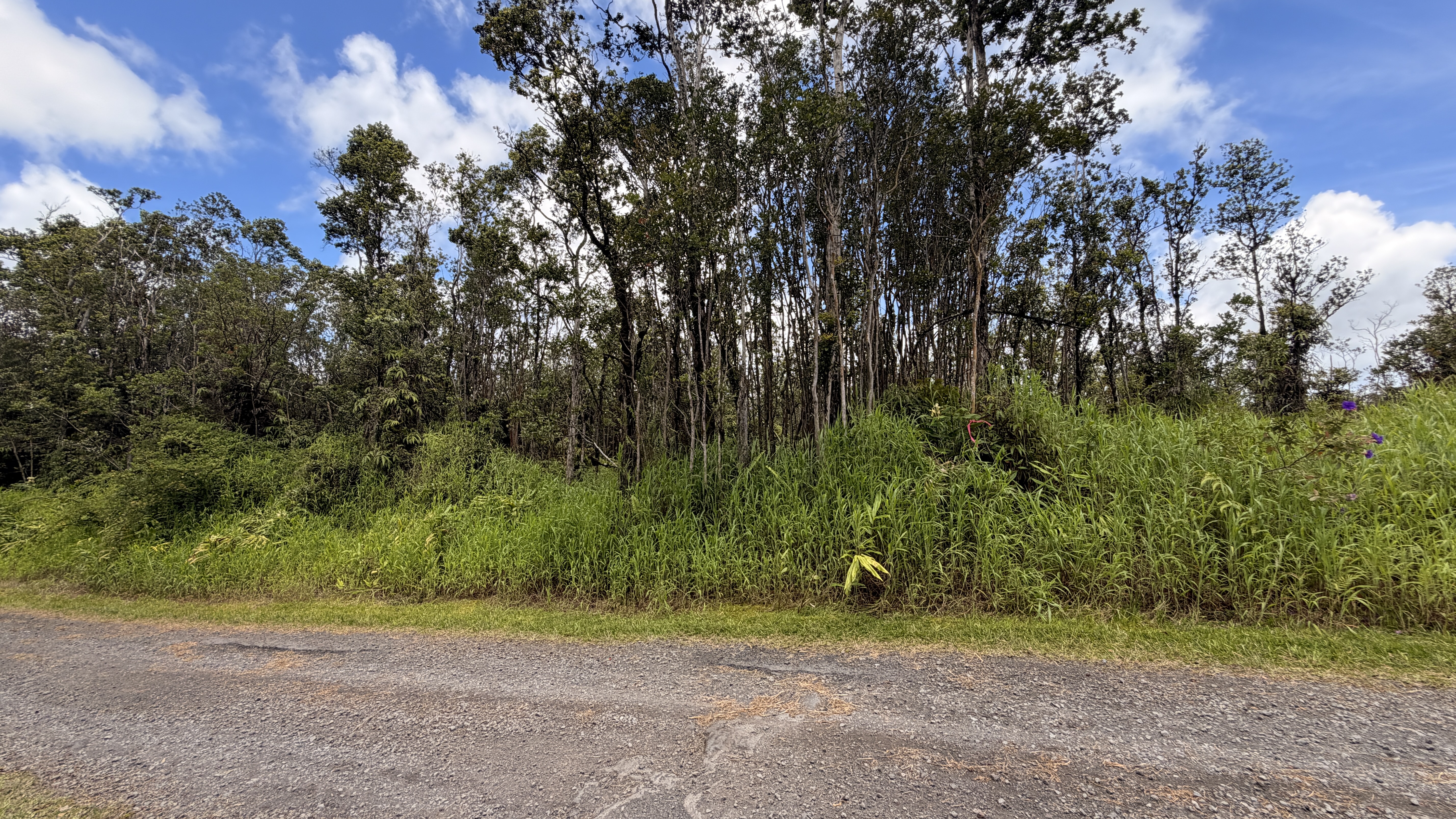 Makoa Rd Property Photo 4
