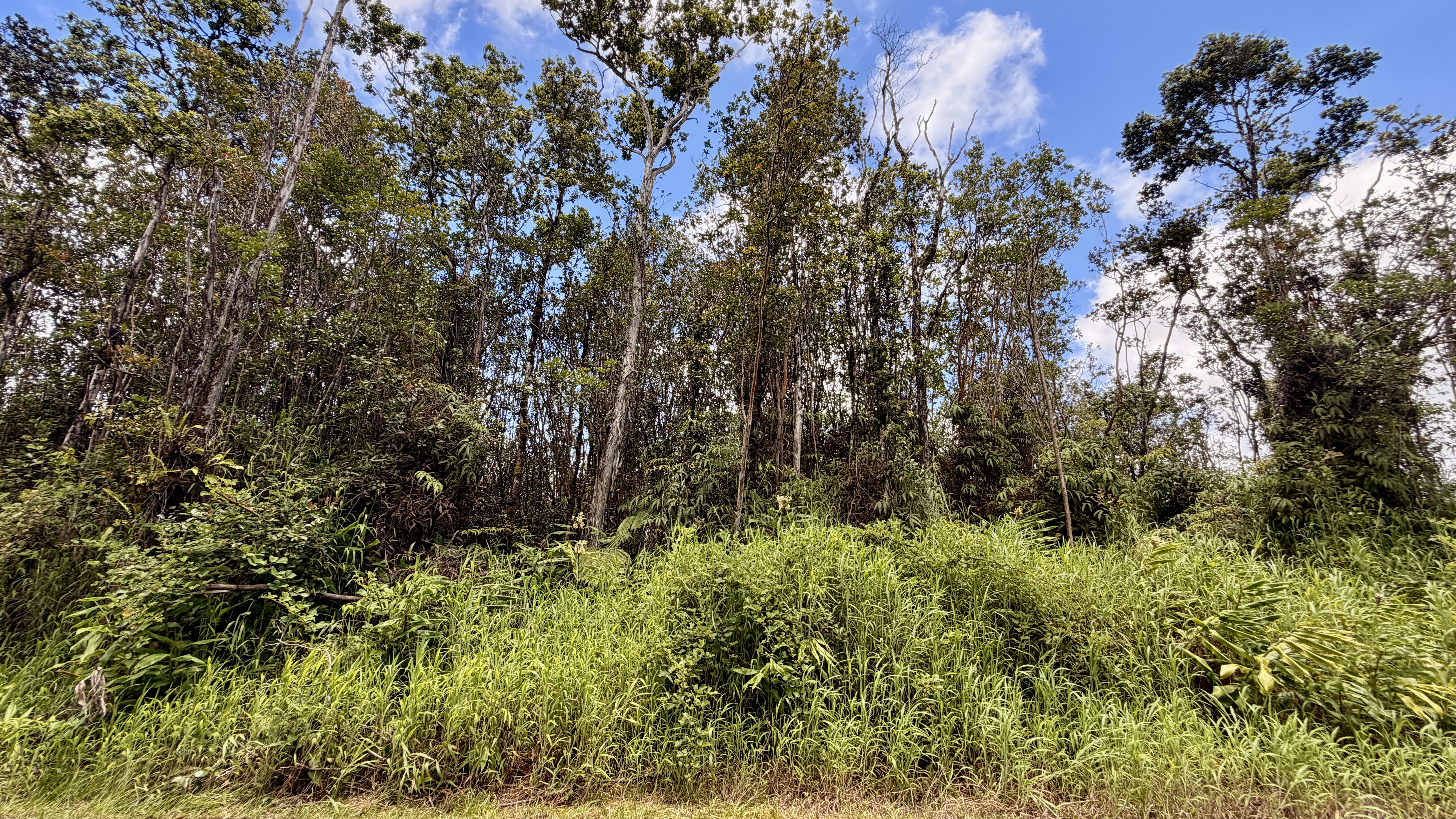 Makoa Rd Property Photo 7