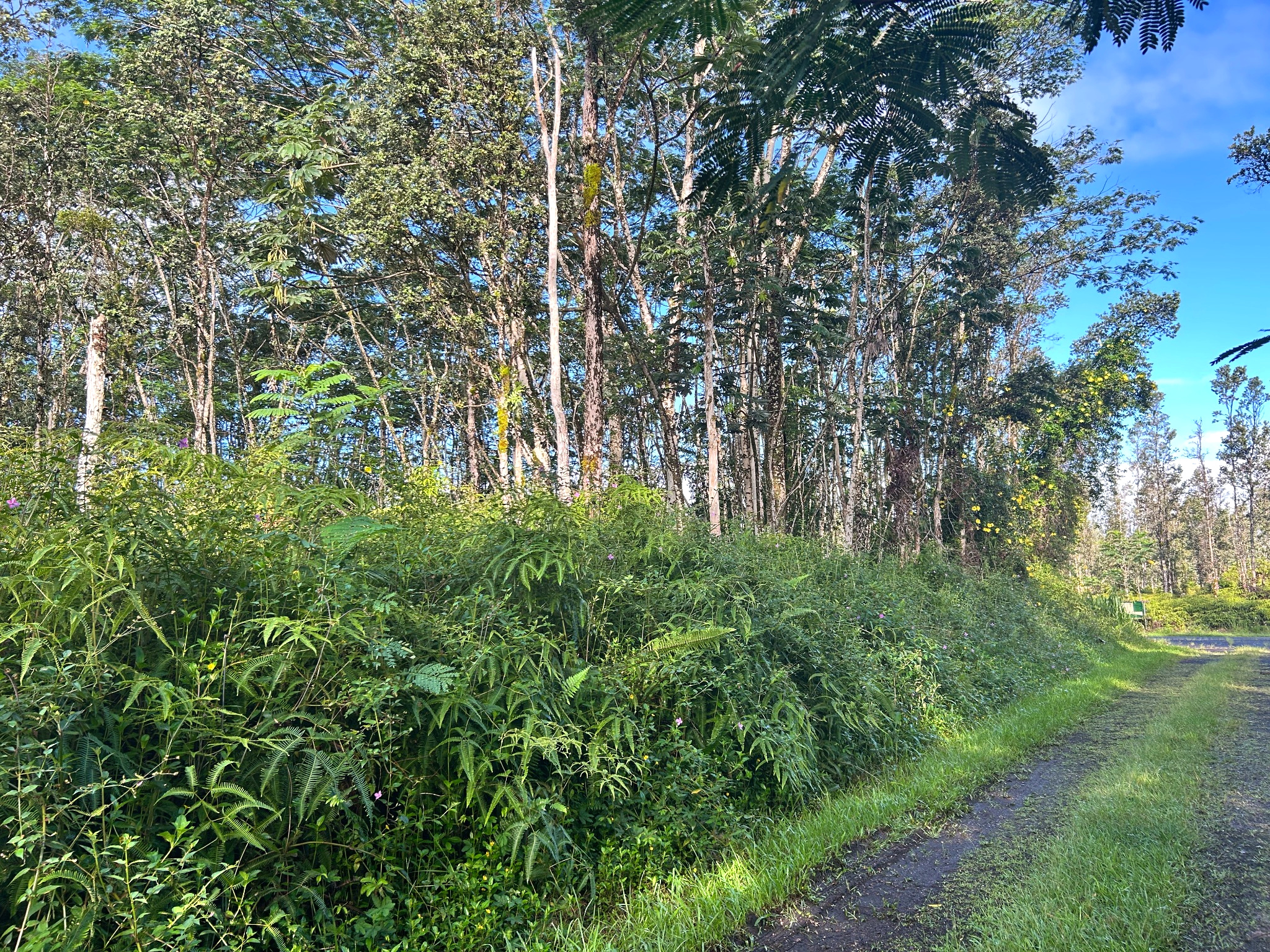 Pahoa Rd Property Photo 1