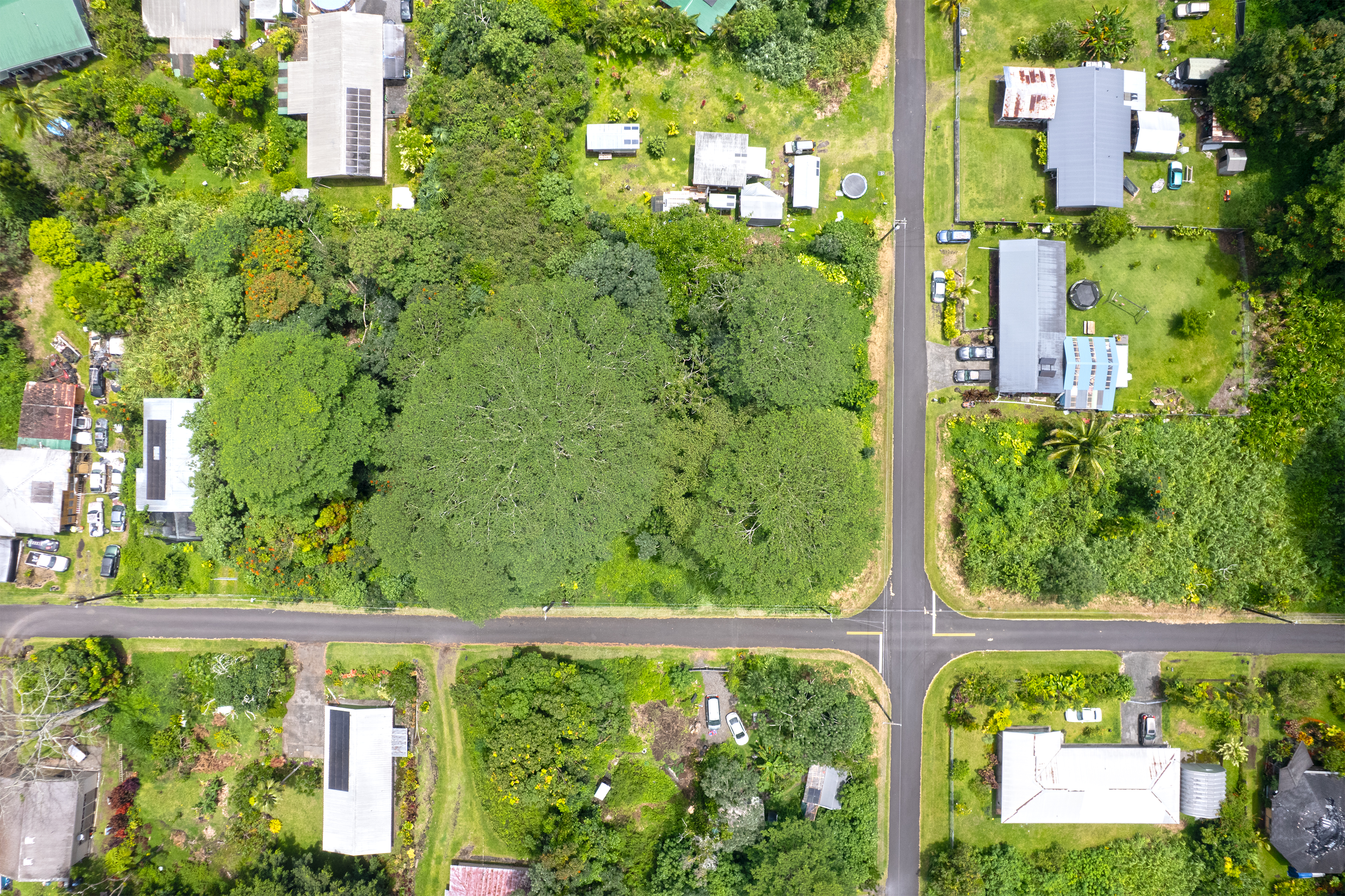 Maikoiko St Property Photo 6