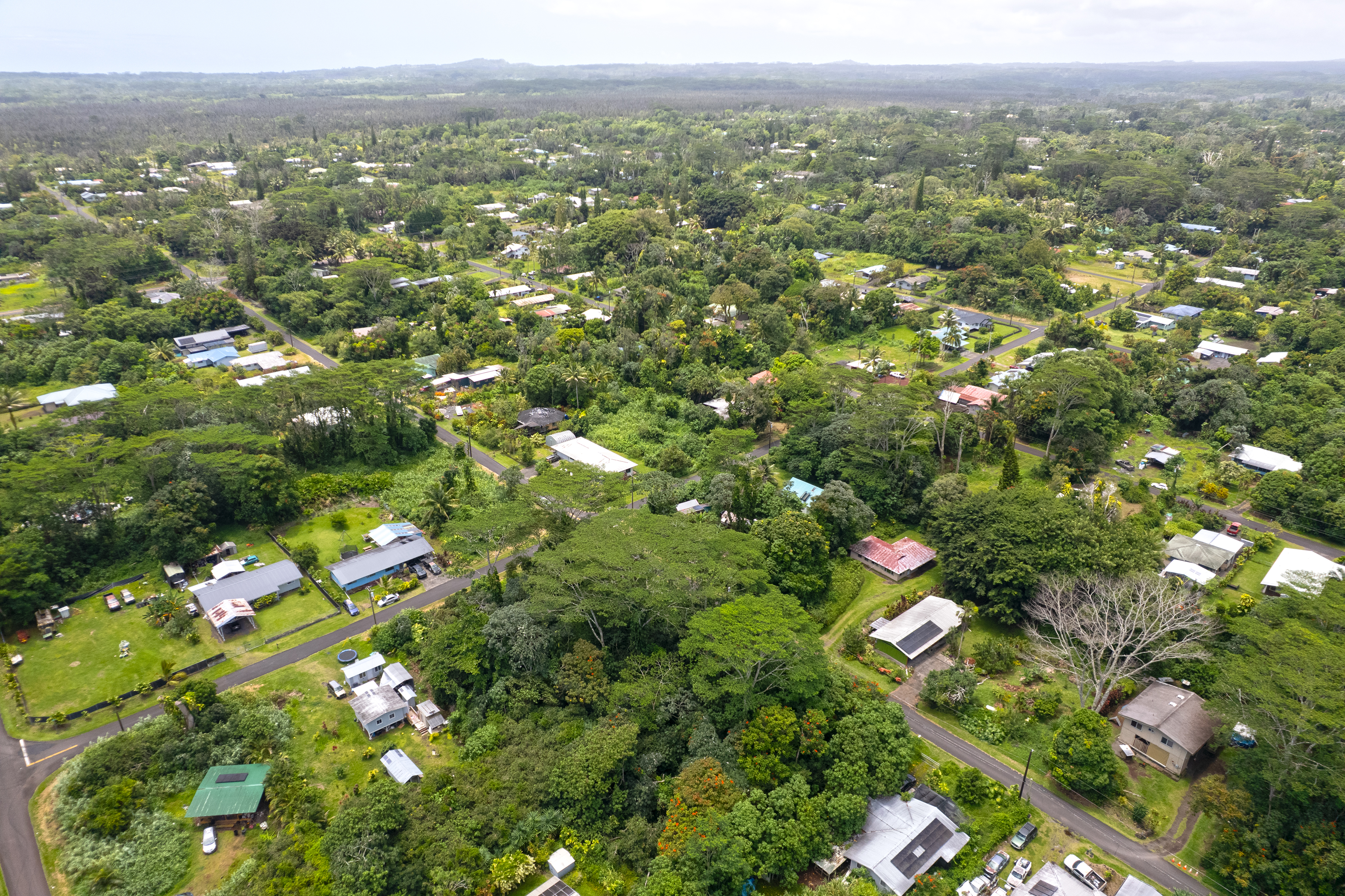 Maikoiko St Property Photo 16