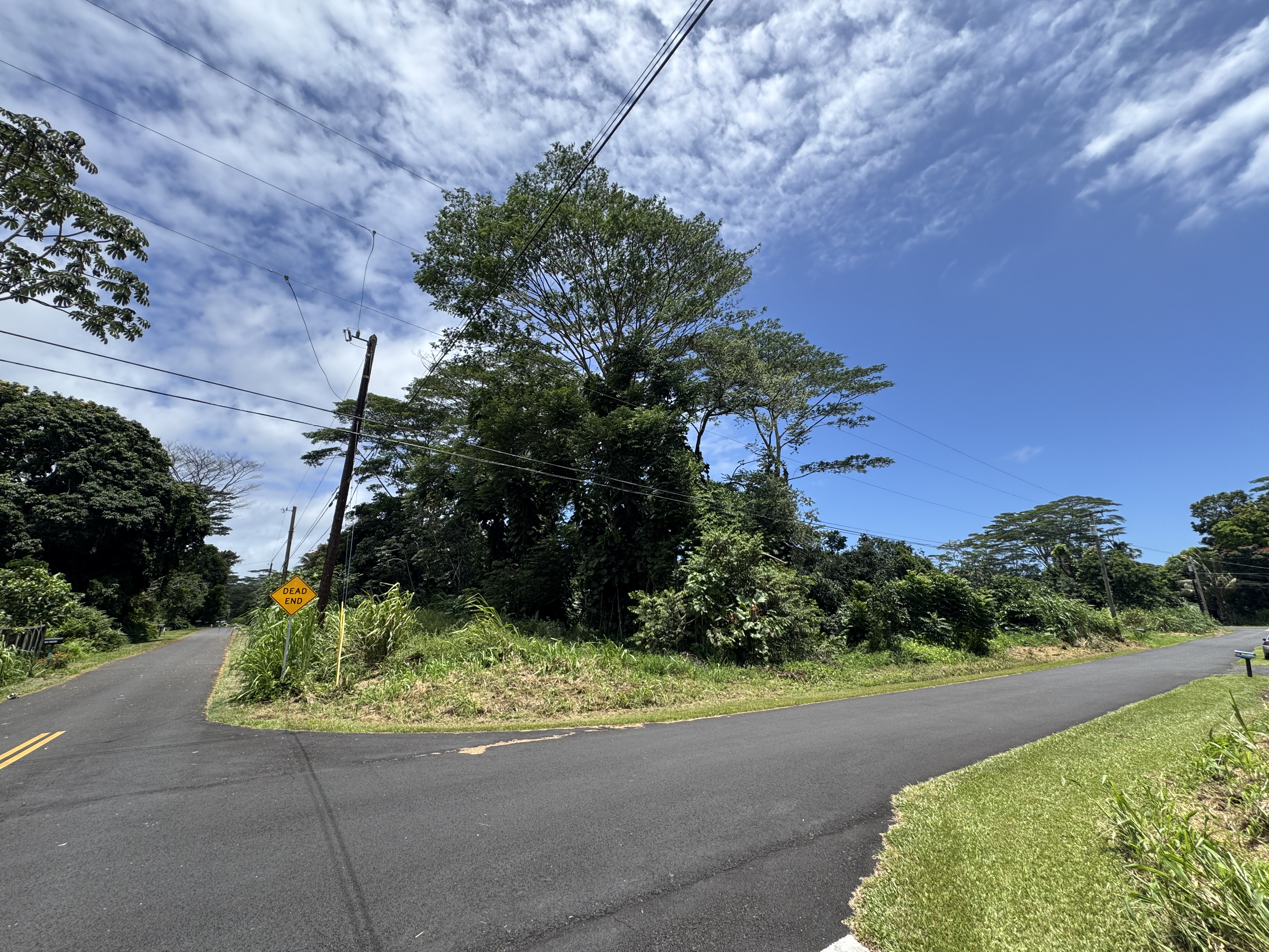 Maikoiko St Property Photo 19
