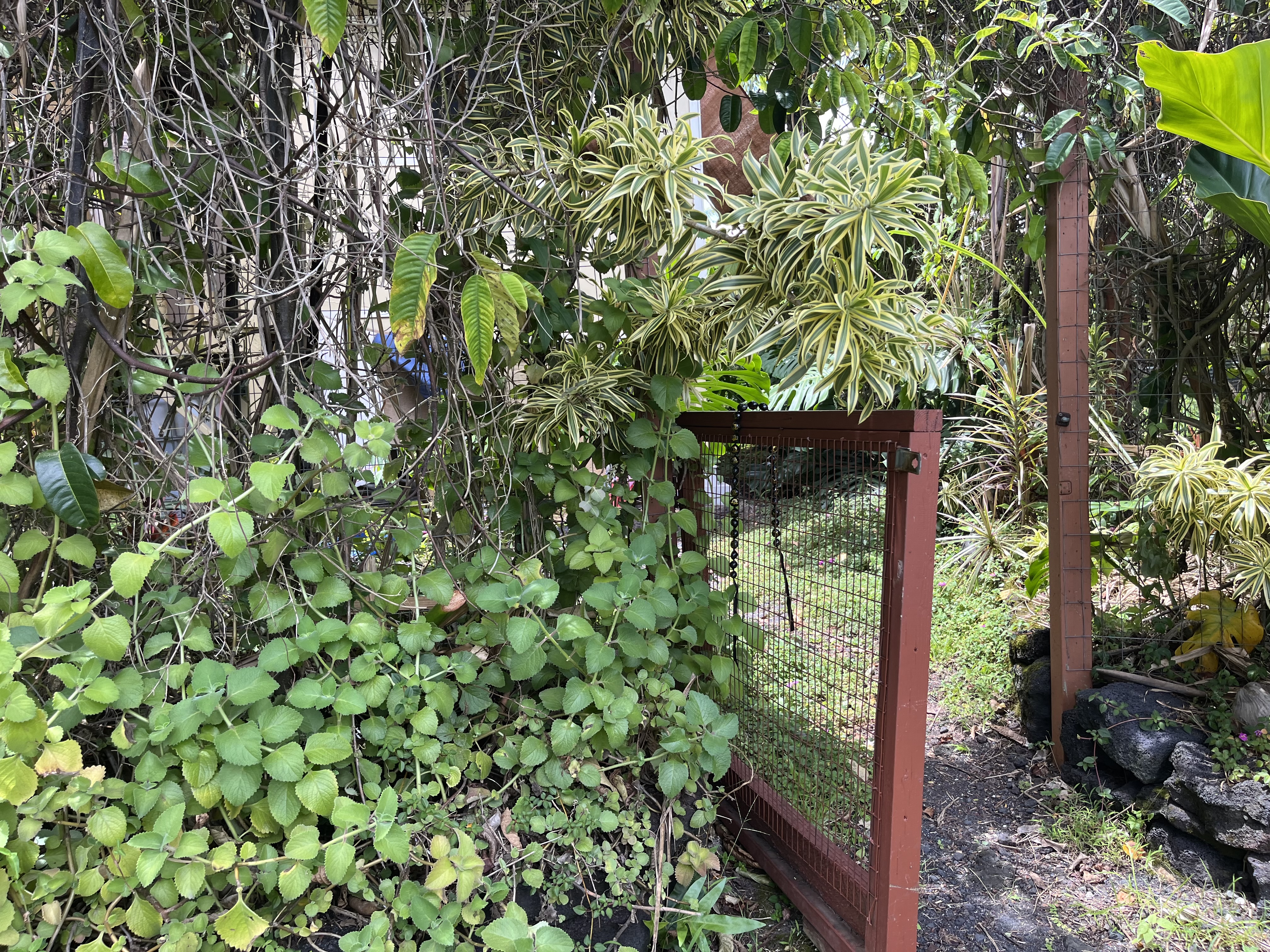 12-7026 Wehelauniu St Property Photo 5