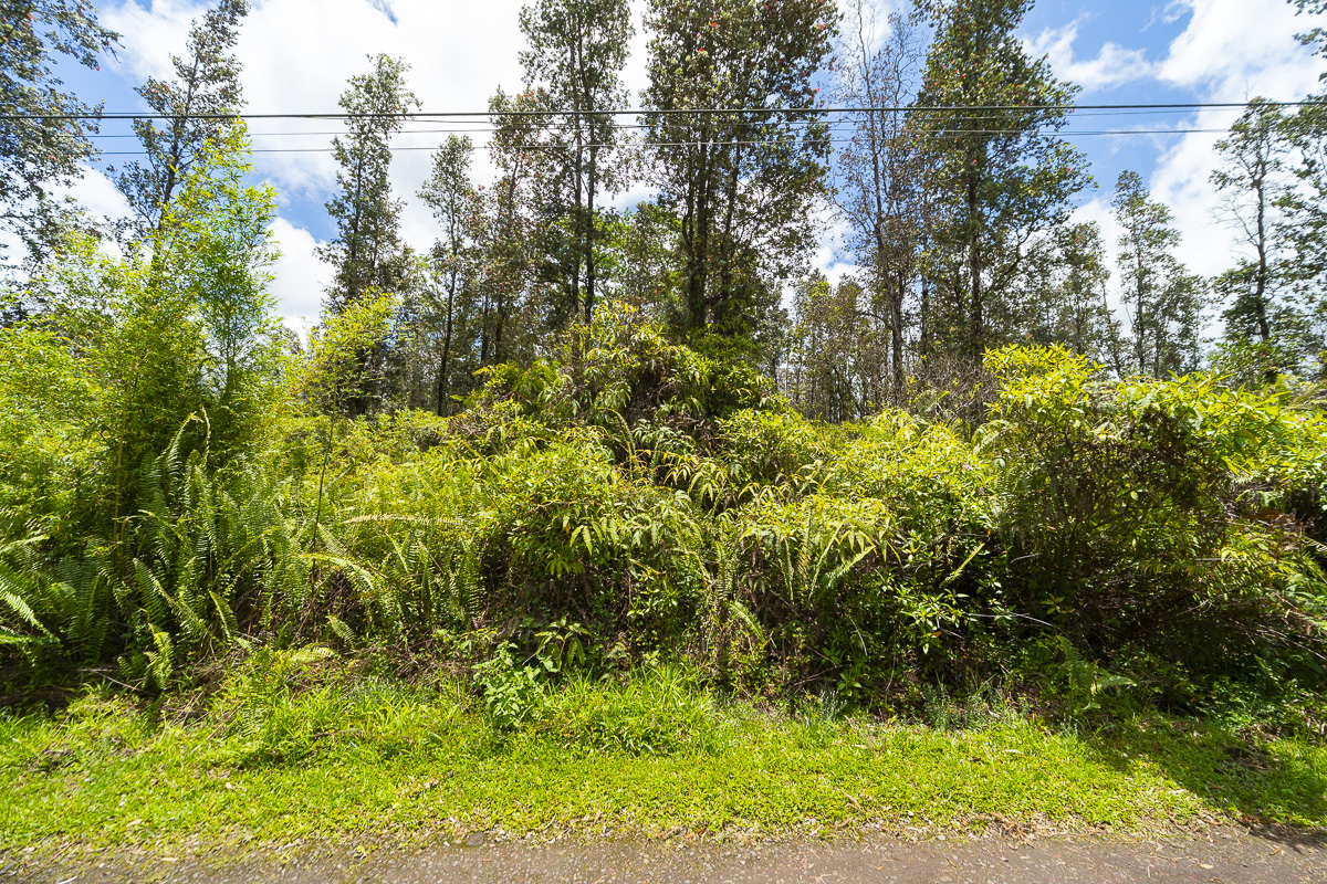 Aulii St Lot 27 Property Photo 5