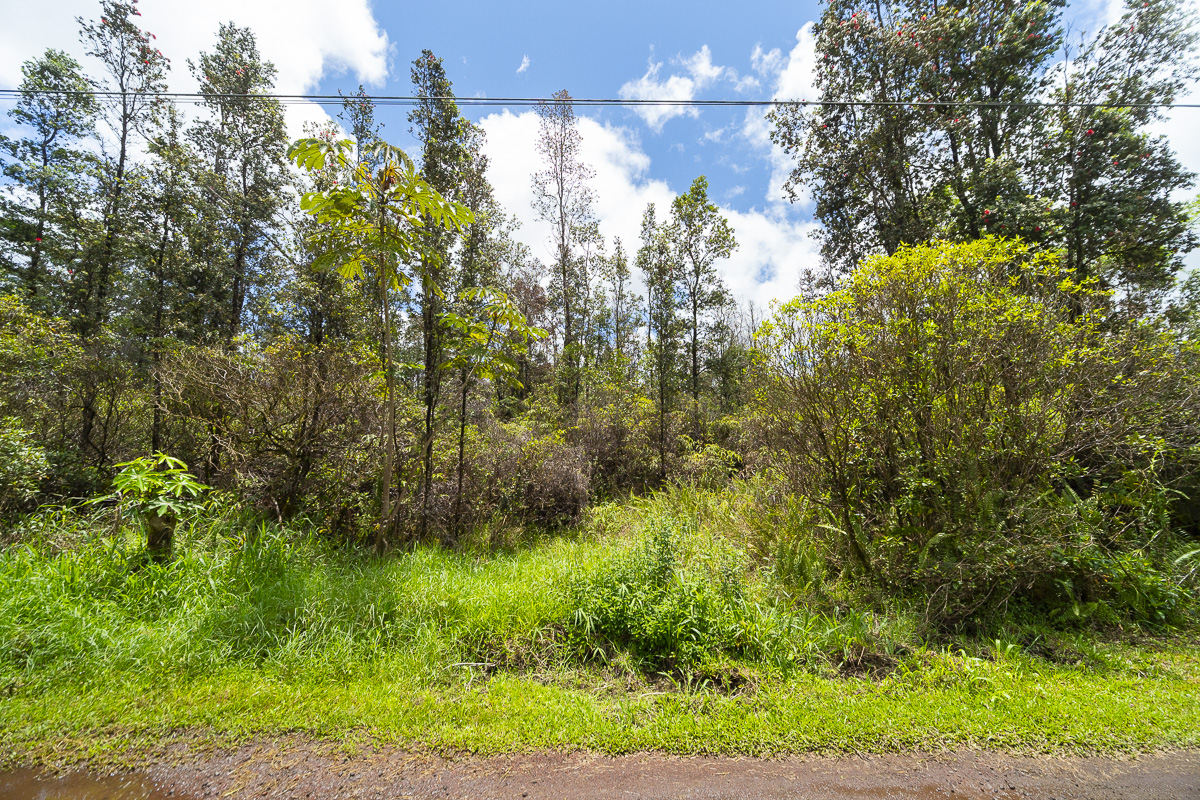Aulii St Lot 28 Property Photo 2