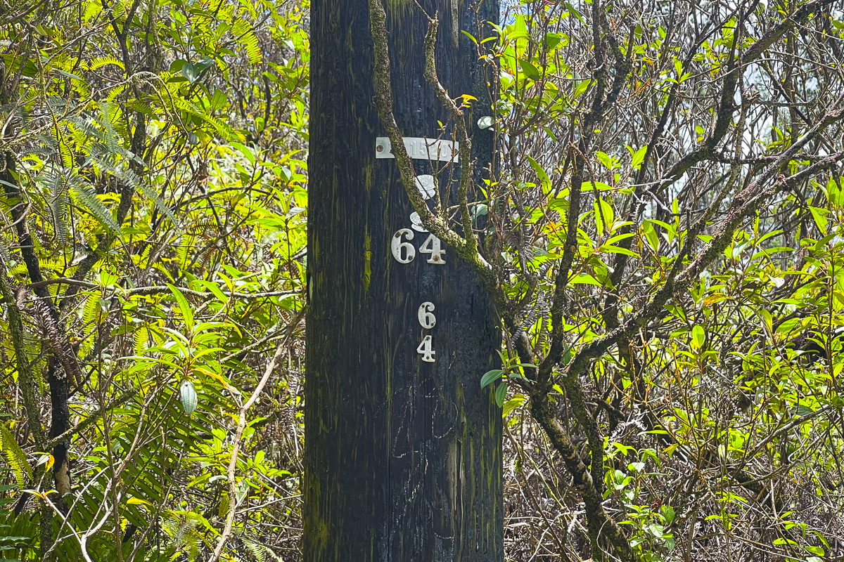 Aulii St Lot 28 Property Photo 9