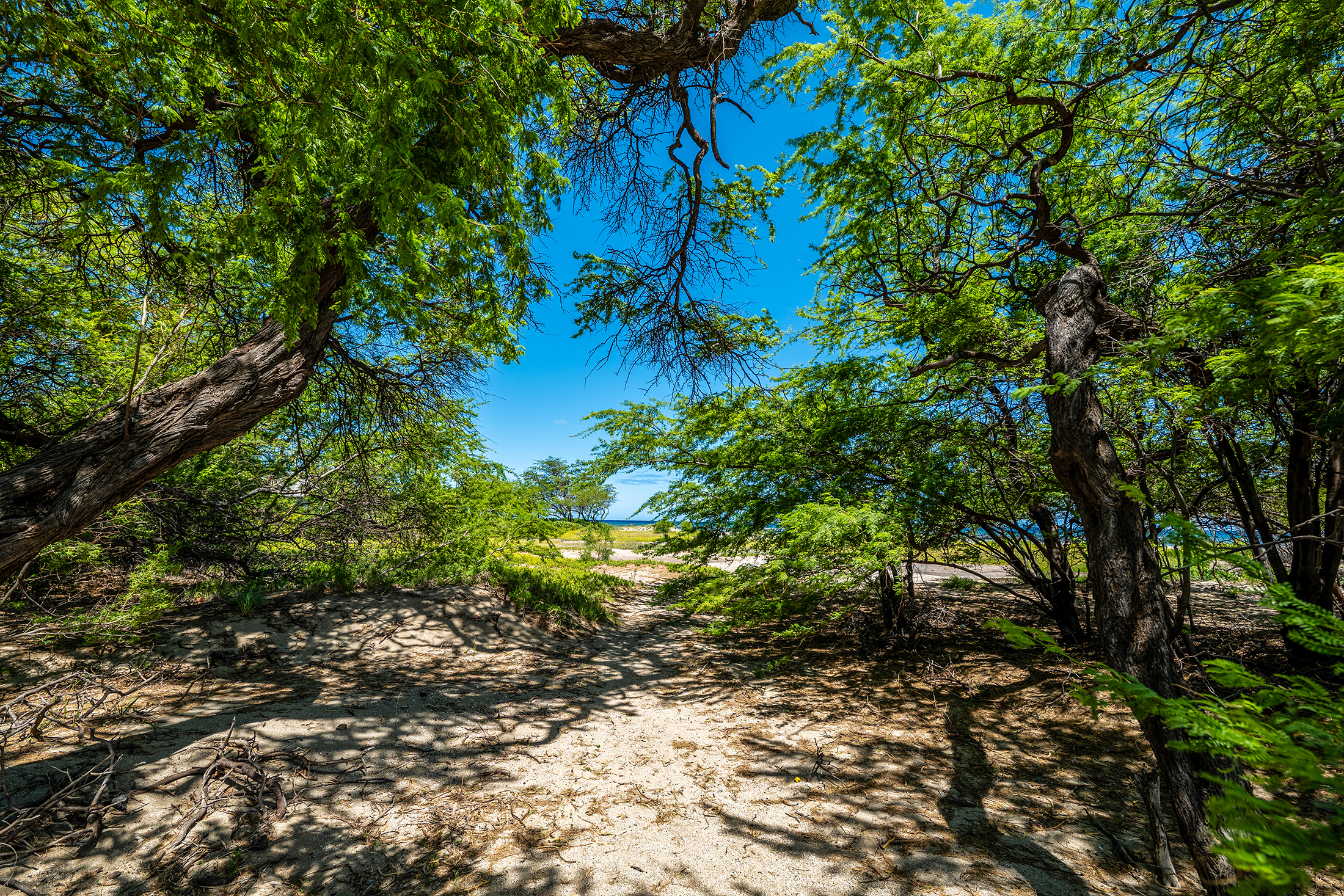 69-1647 Puako Beach Dr 301 Property Photo 14