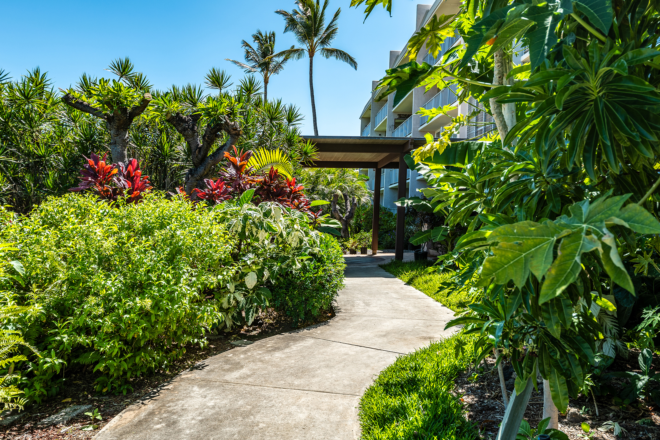 69-1647 Puako Beach Dr 301 Property Photo 16