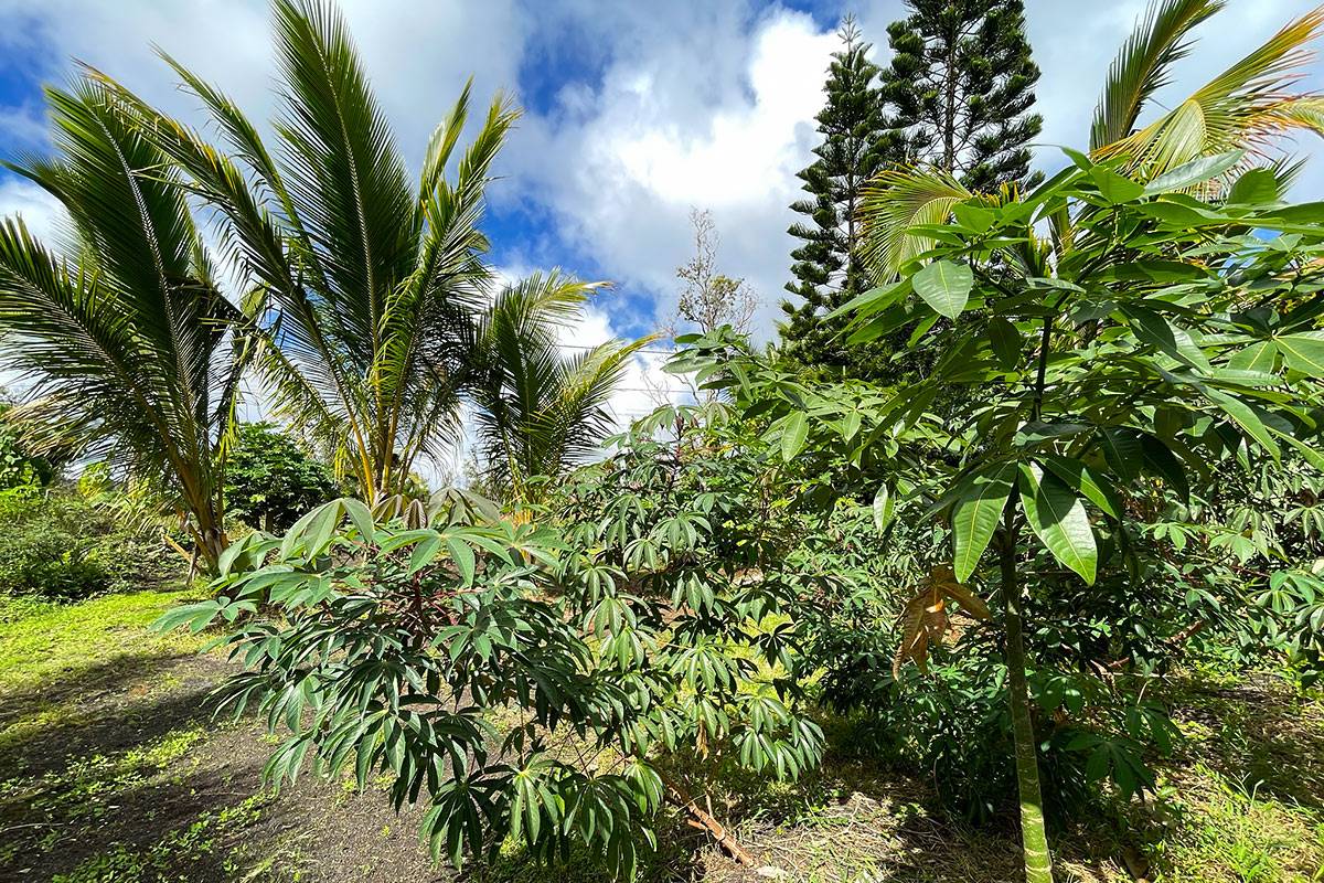 12-7007 Kamoamoa St Property Photo 21
