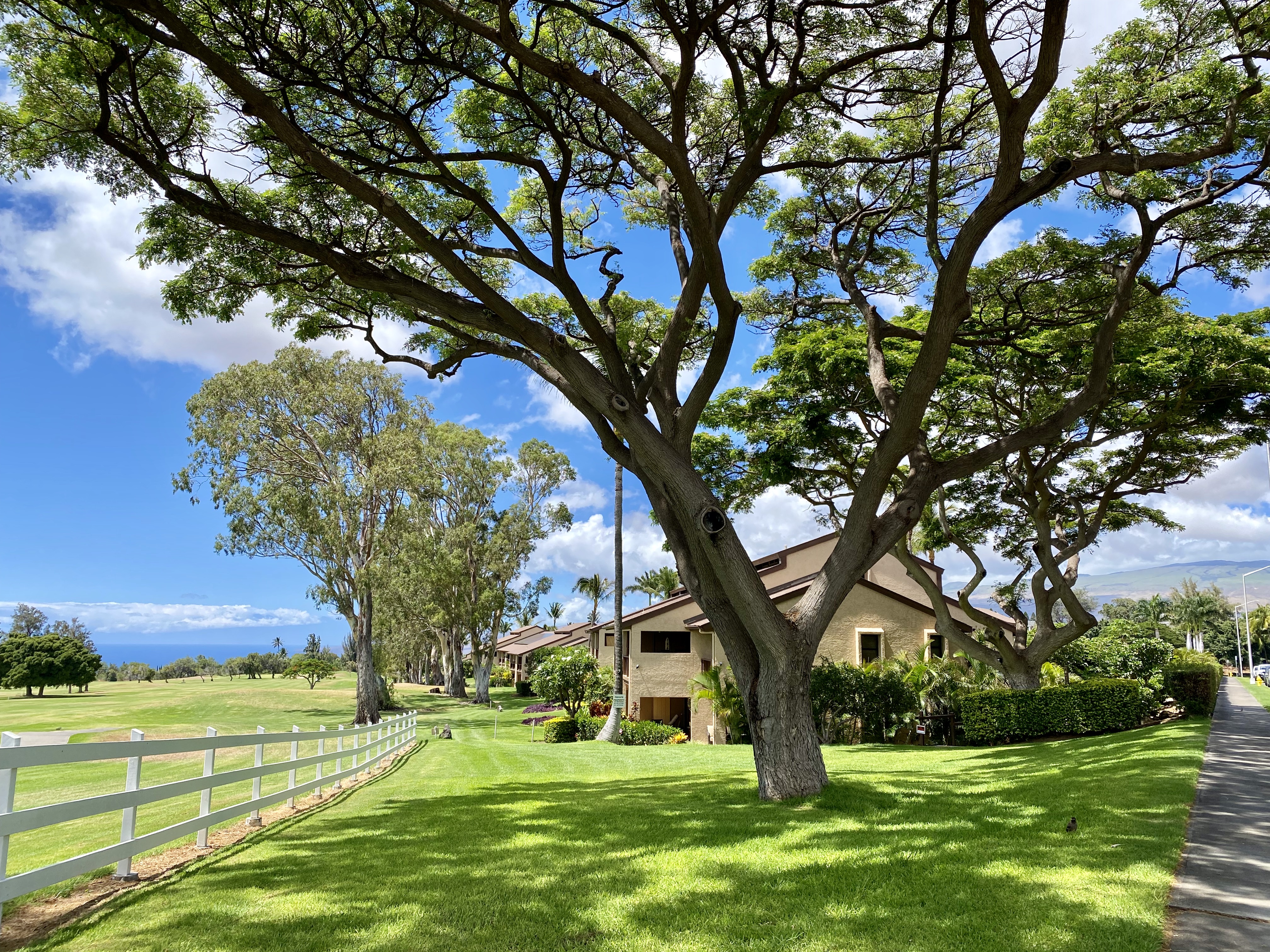 68-3840 Lua Kula St D104 Property Photo 17