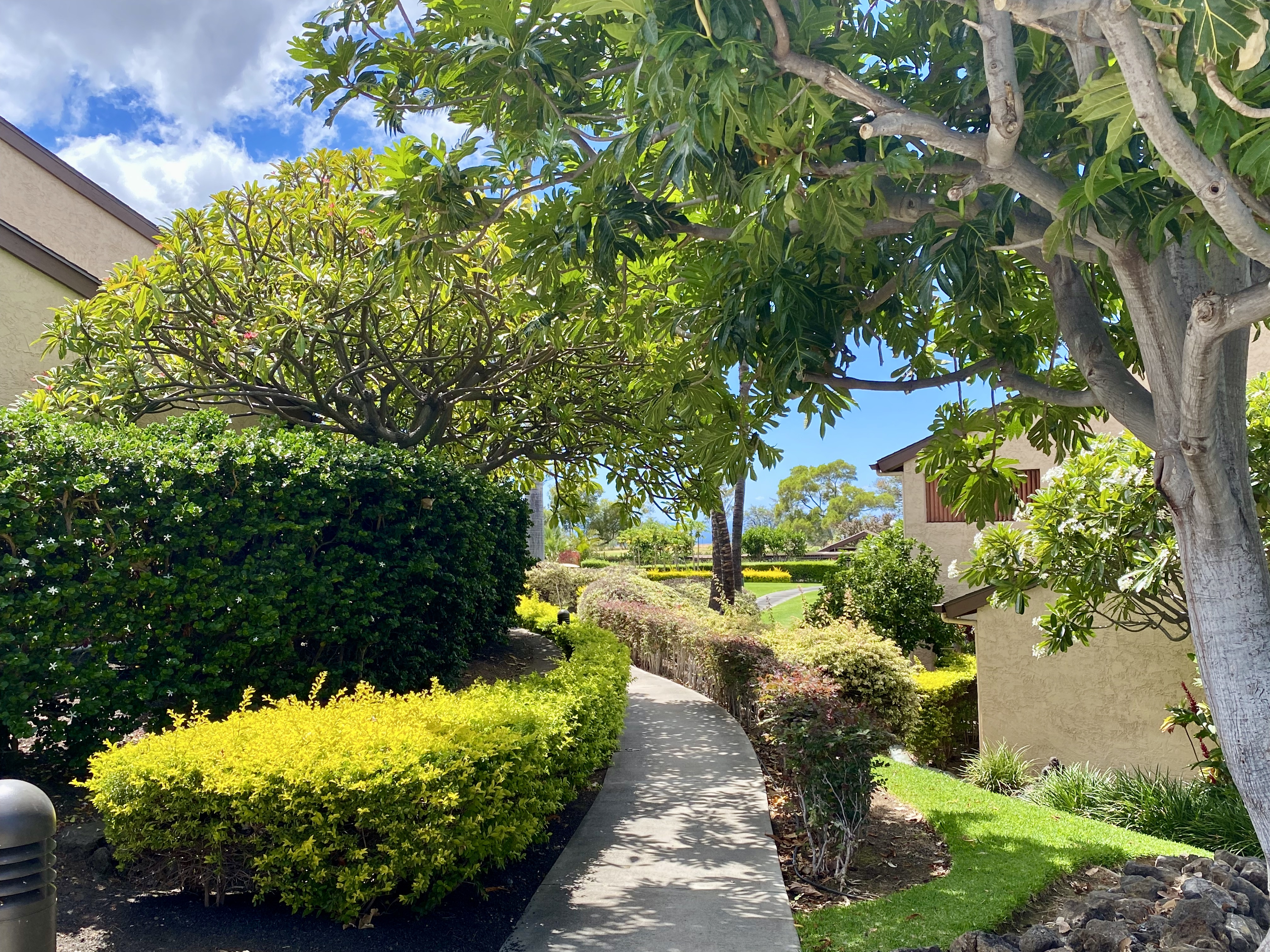 68-3840 Lua Kula St D104 Property Photo 18
