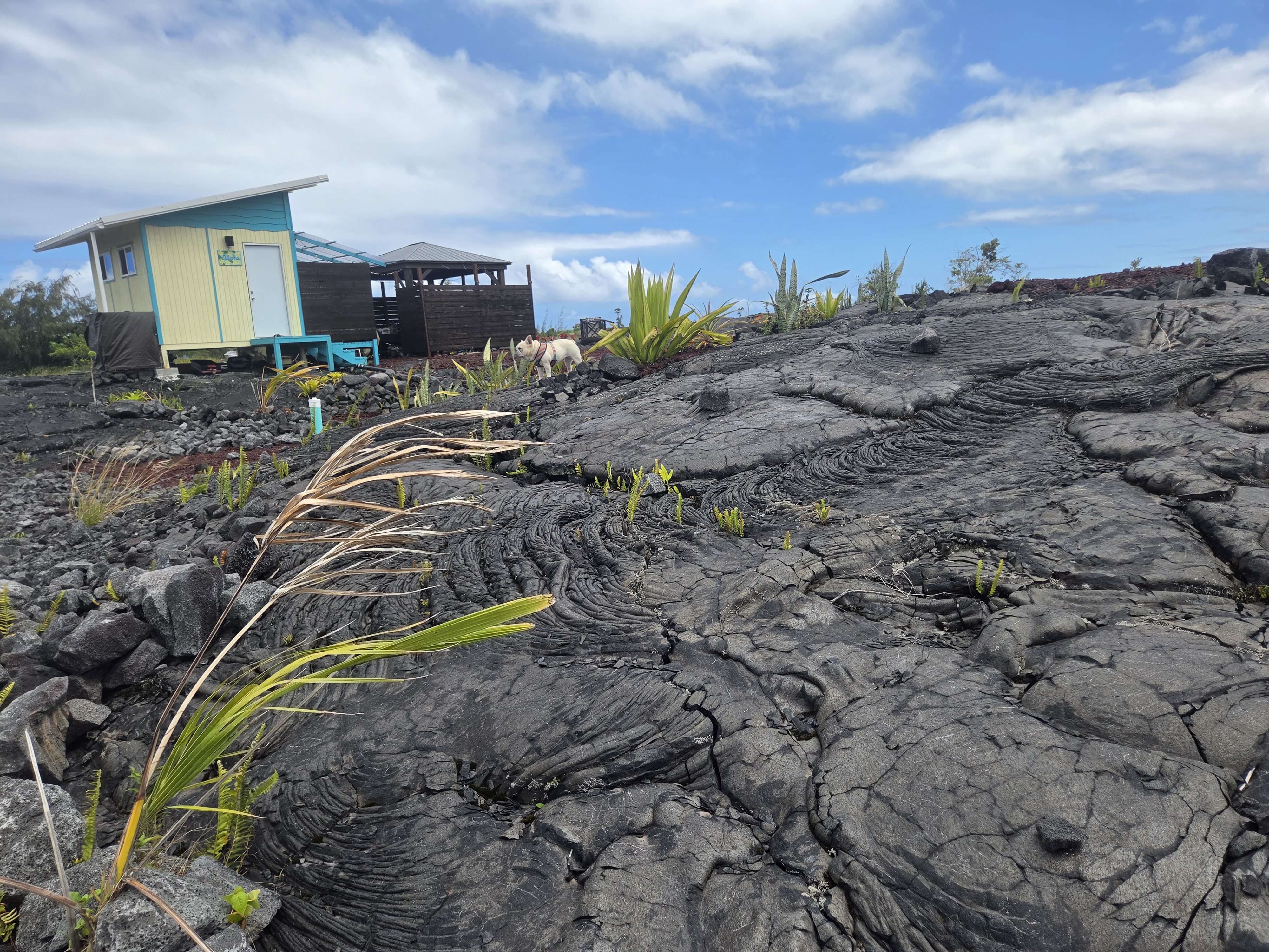 1 Makani Rd Property Photo 10