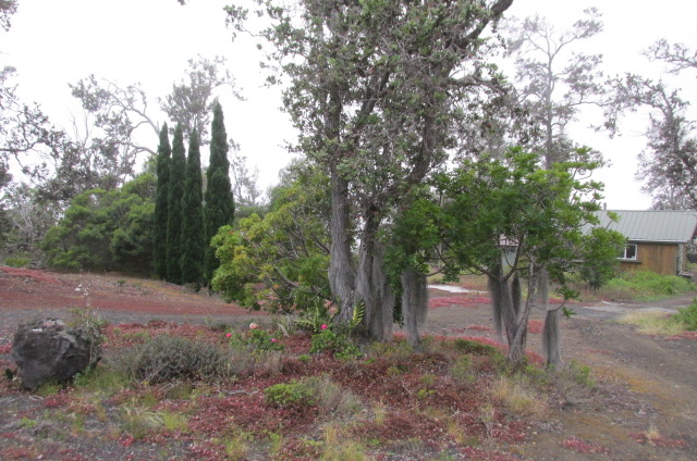 92-8894 Plumeria Ln Property Photo 13