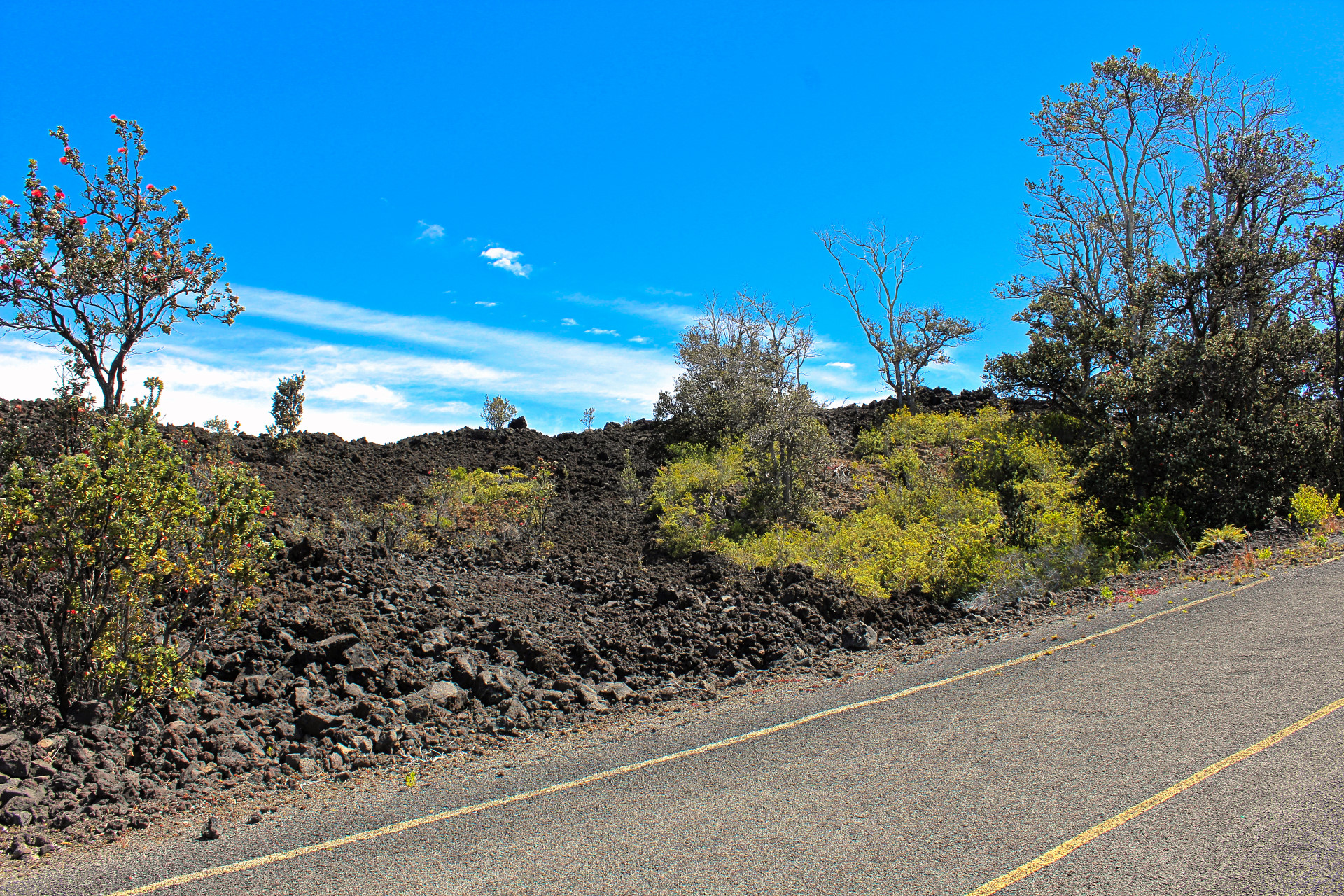 Hukilau Dr Property Photo 2