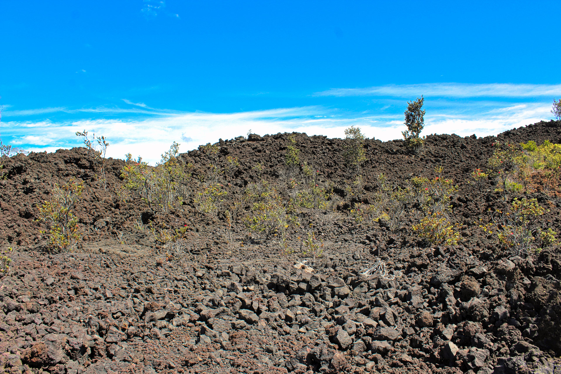 Hukilau Dr Property Photo 3