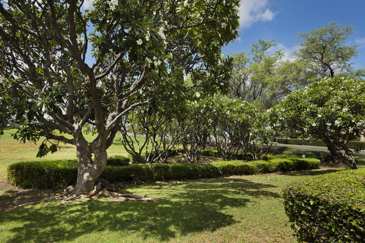 68-3831 Lua Kula St E104 Property Photo 22