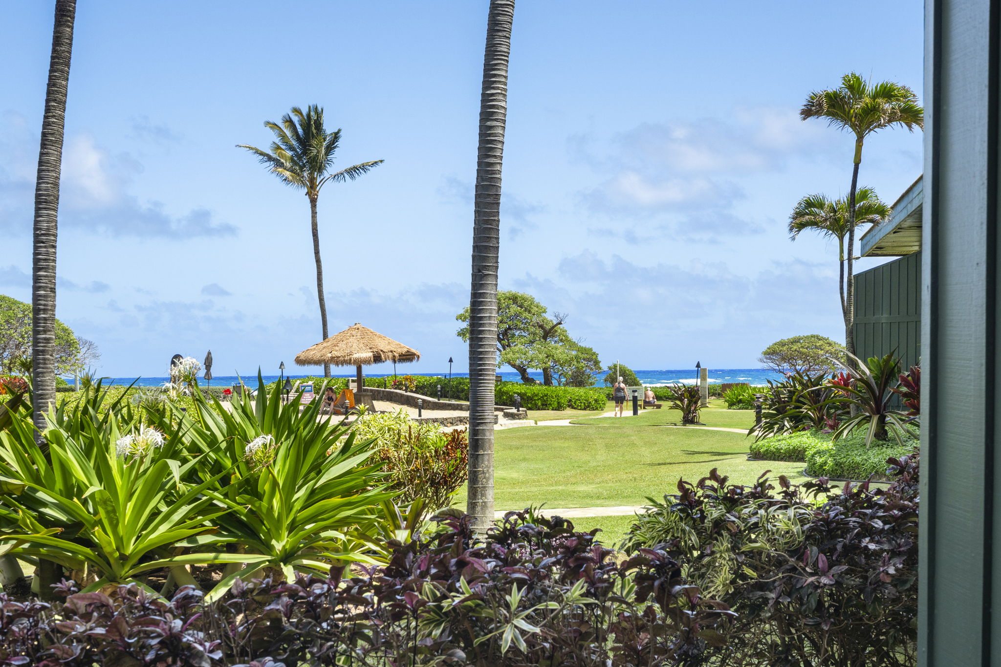 4331 Kauai Beach Dr 3124 Property Photo 1