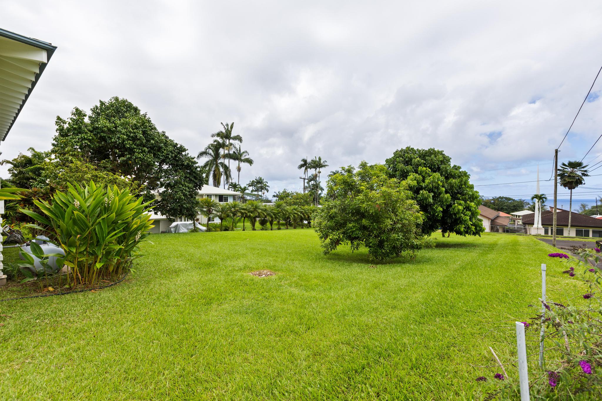 28-3541 Honomu Ln Property Photo 26