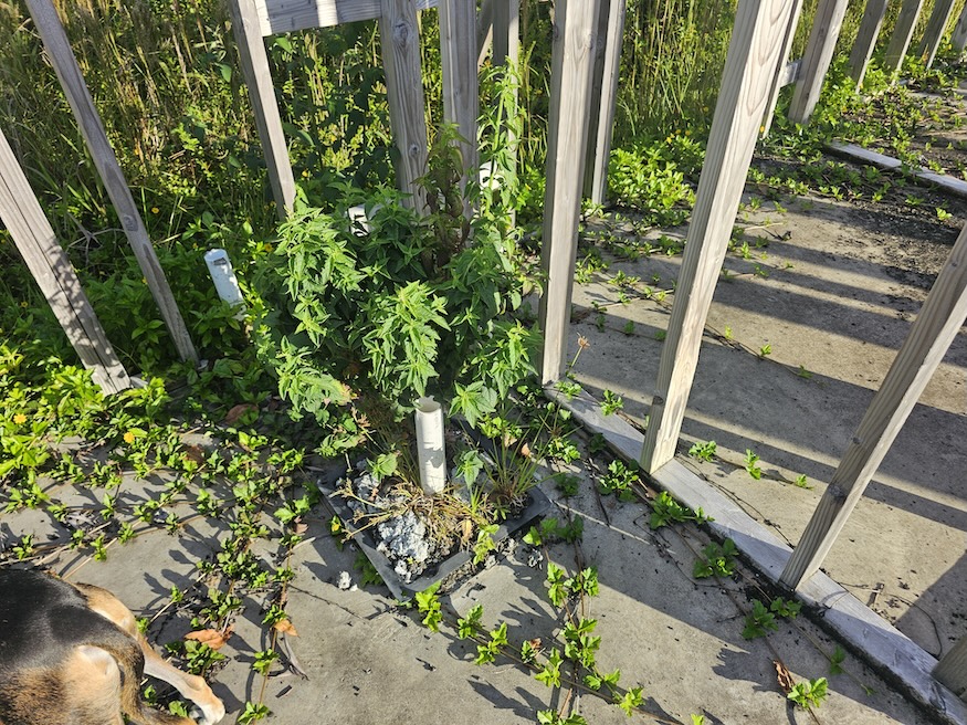 15-2016 14th Ave Property Photo 10
