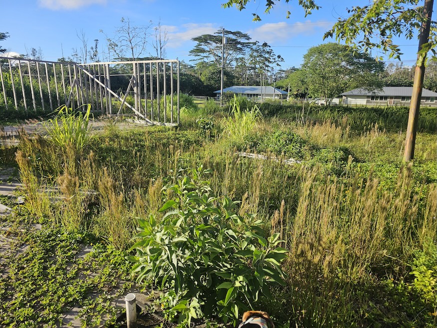15-2016 14th Ave Property Photo 12