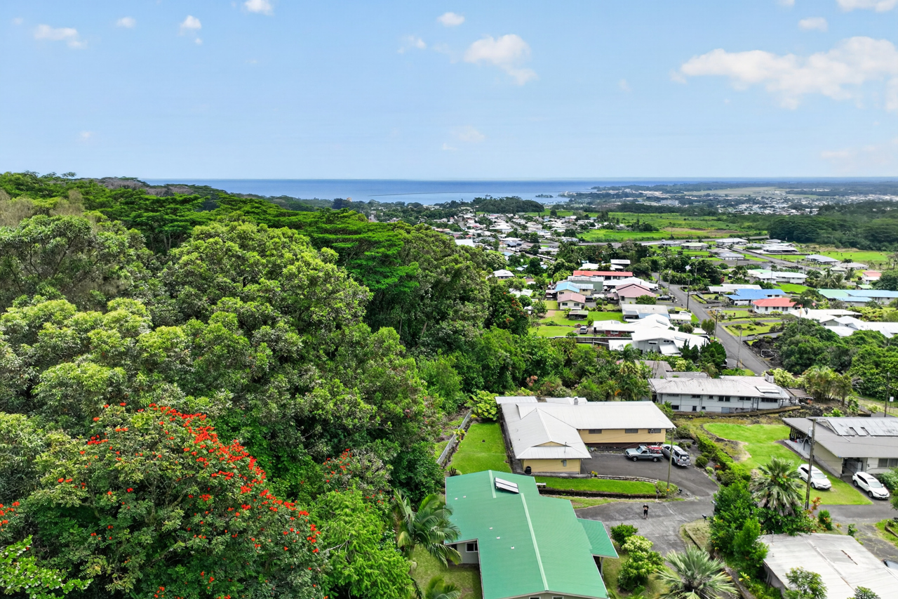 243 Aipuni St Property Photo 22