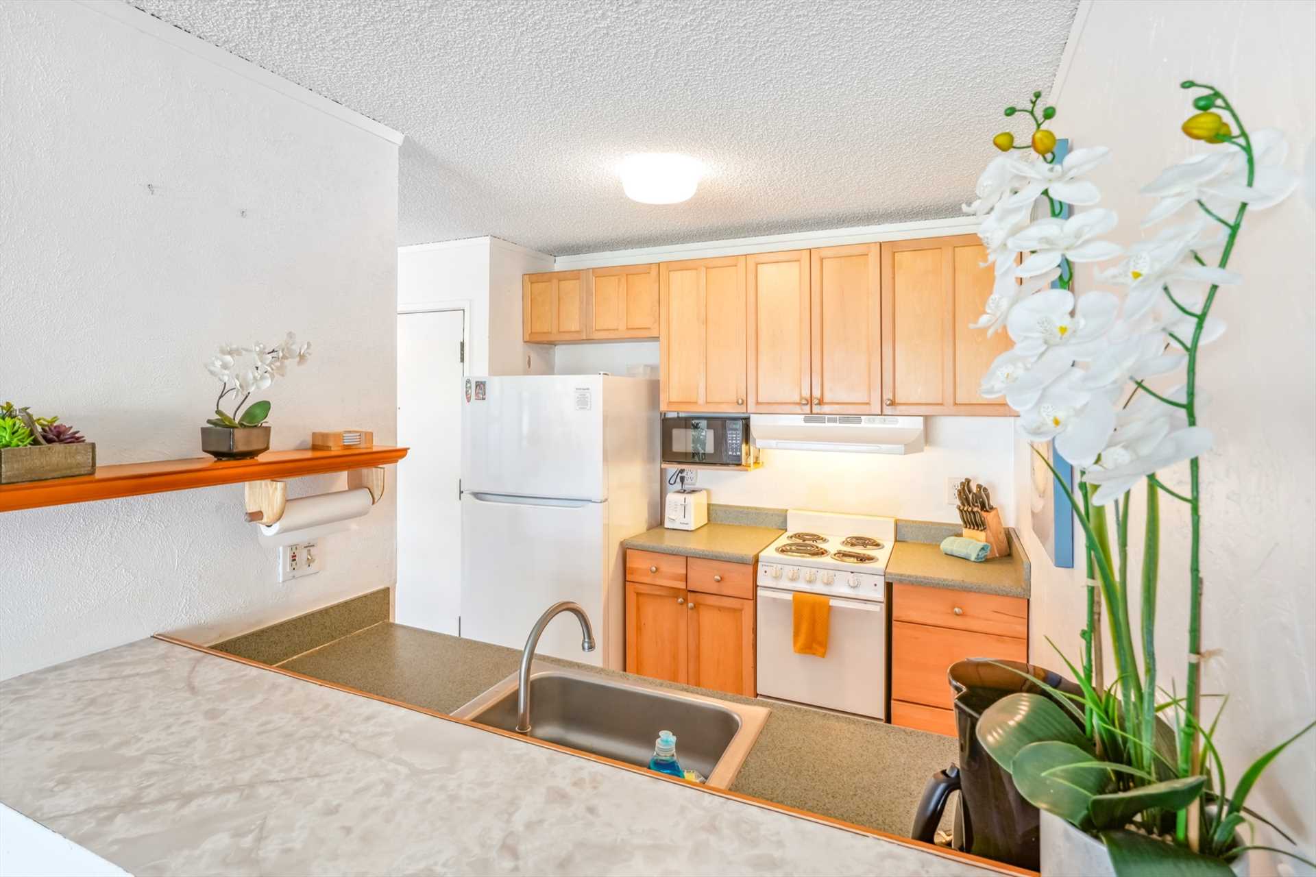 525 Aleka Lp G7 Property Photo 3