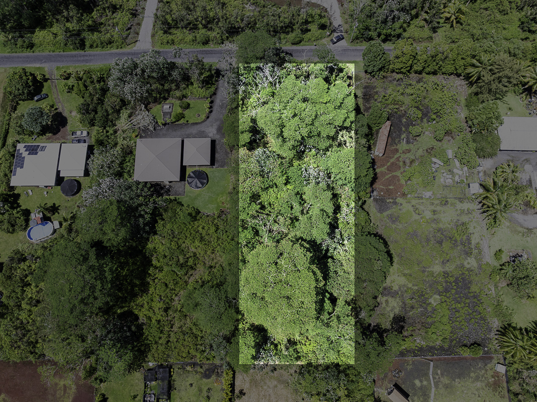 8th Ave Property Photo 2