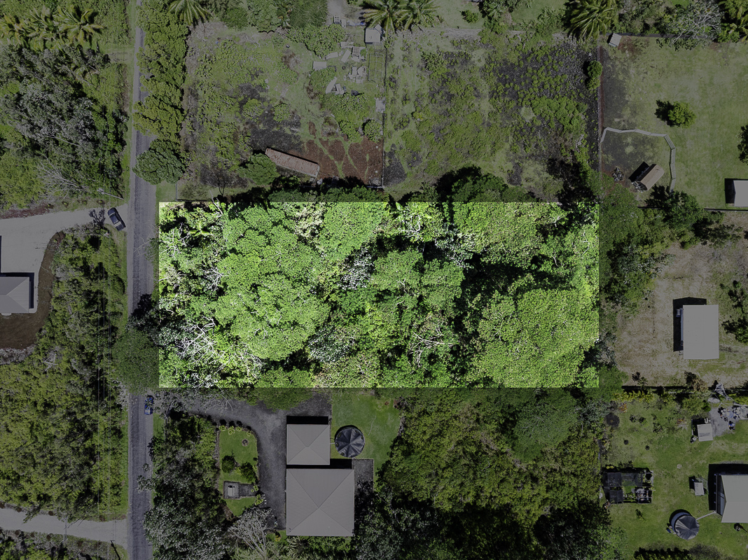 8th Ave Property Photo 6