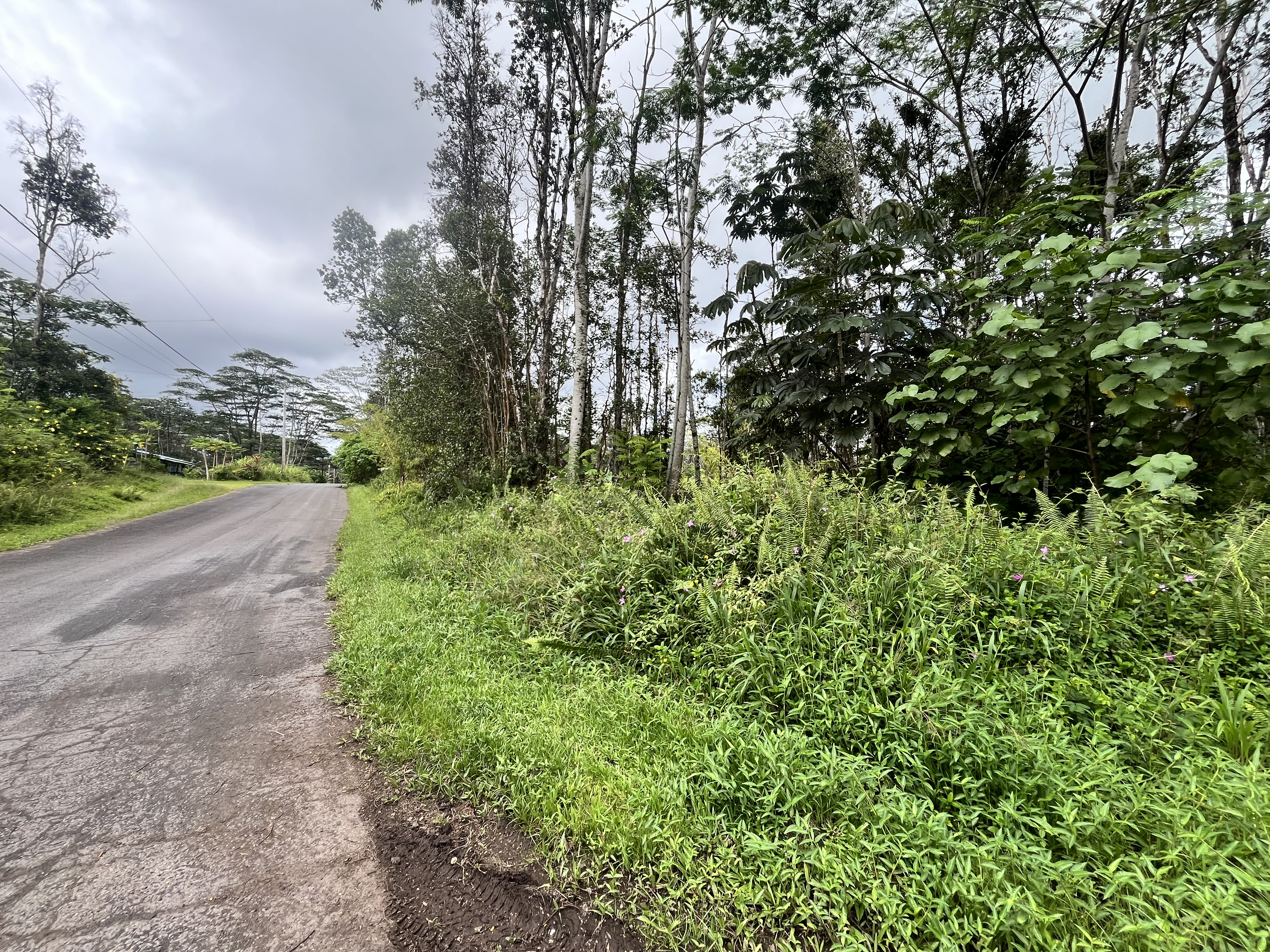 14-3368 Mauna Kea Rd Property Photo 4