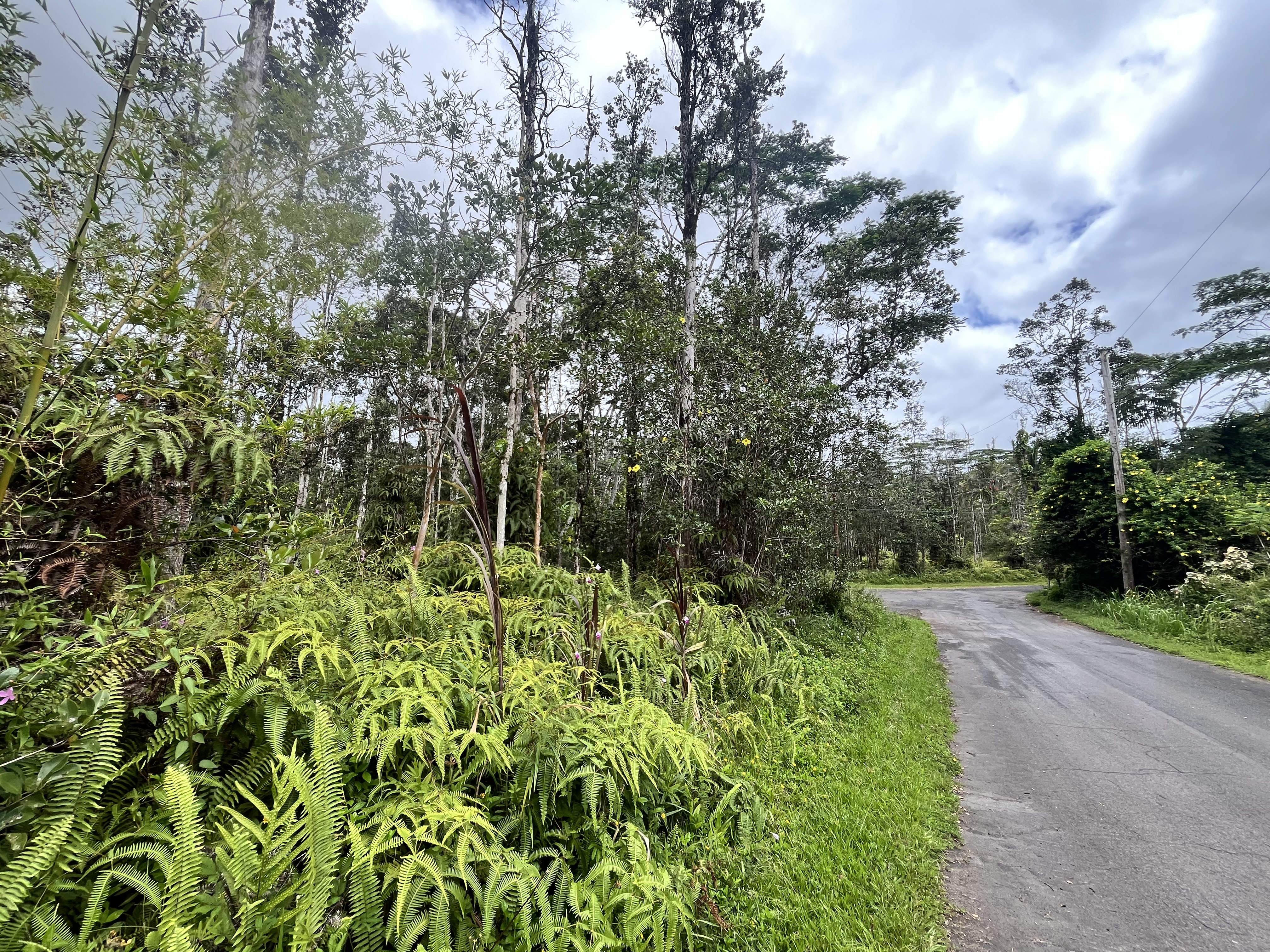 14-3368 Mauna Kea Rd Property Photo 5
