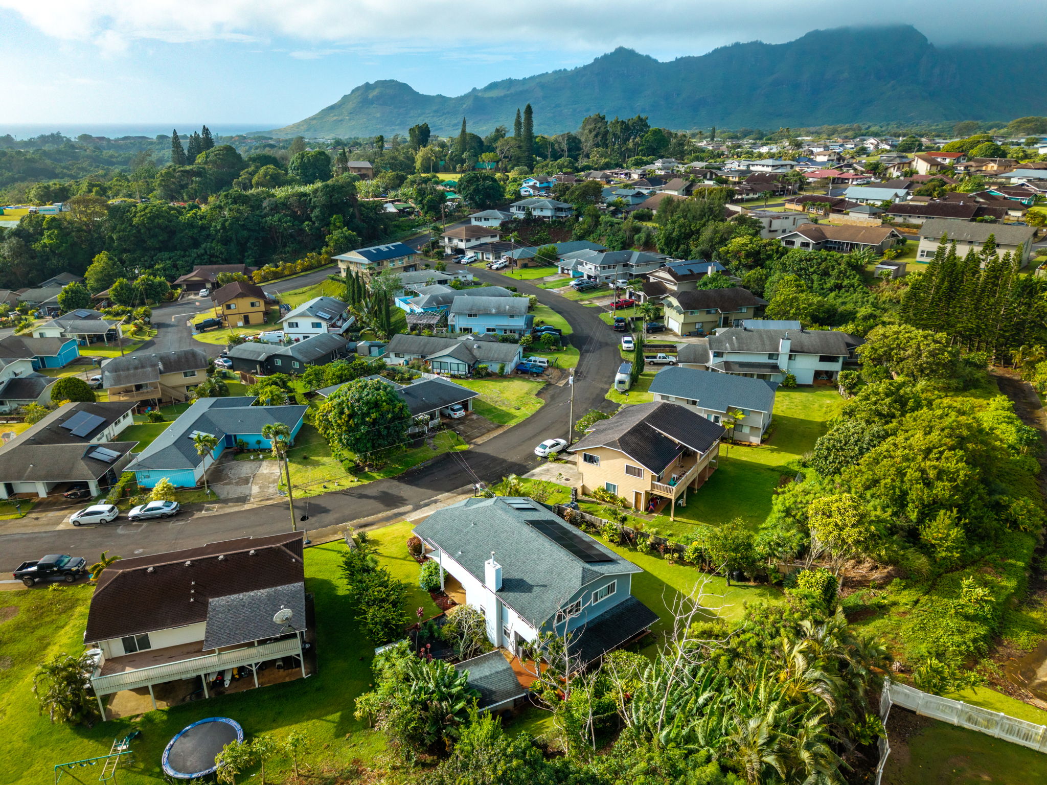 2899 Aukoi St Property Photo 28