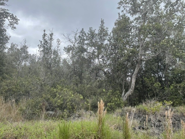 92-2232 Palm Parkway Property Photo 1